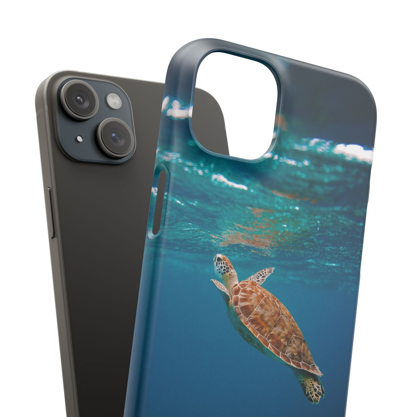 Sea Turtle Cajasol - Perfect for Beach Lovers