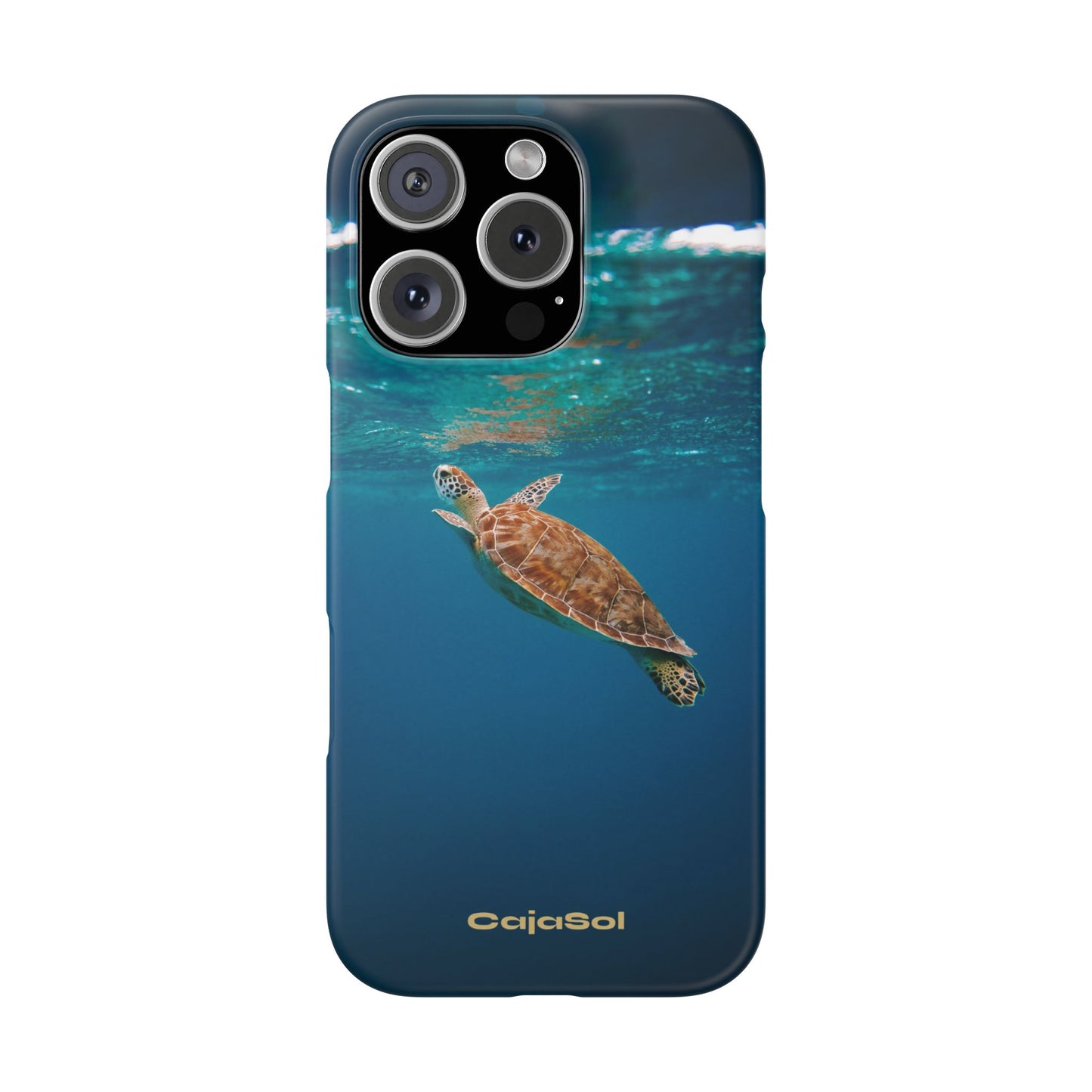 Sea Turtle Cajasol - Perfect for Beach Lovers