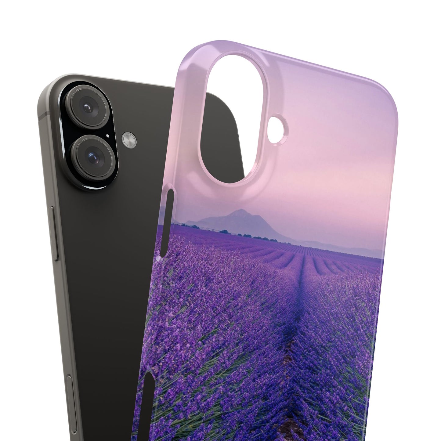 Lavender Fields Cajasol - A Floral Touch for Nature Lovers
