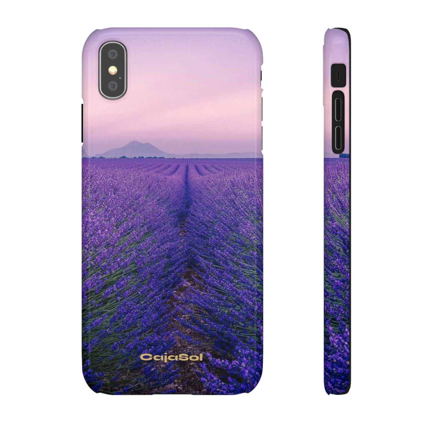 Lavender Fields Cajasol - A Floral Touch for Nature Lovers
