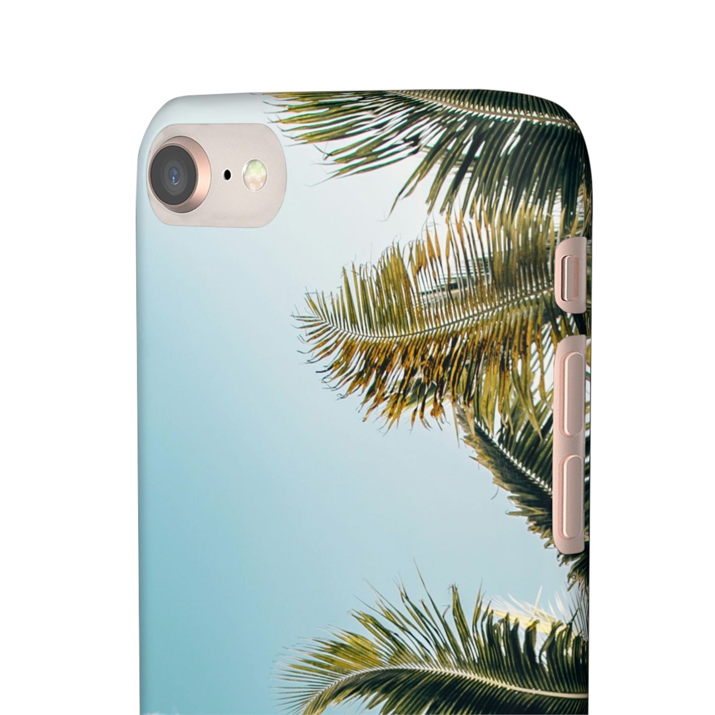 Tropical Palm Cajasol – Summer Vibes for Beach Lovers