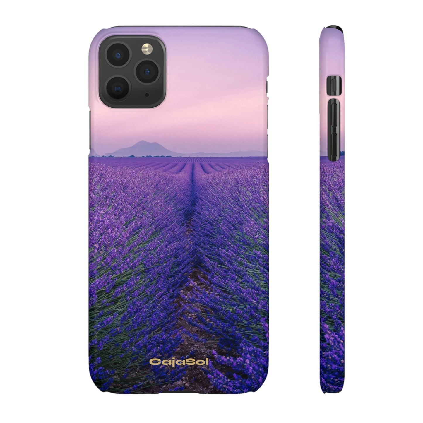 Lavender Fields Cajasol - A Floral Touch for Nature Lovers