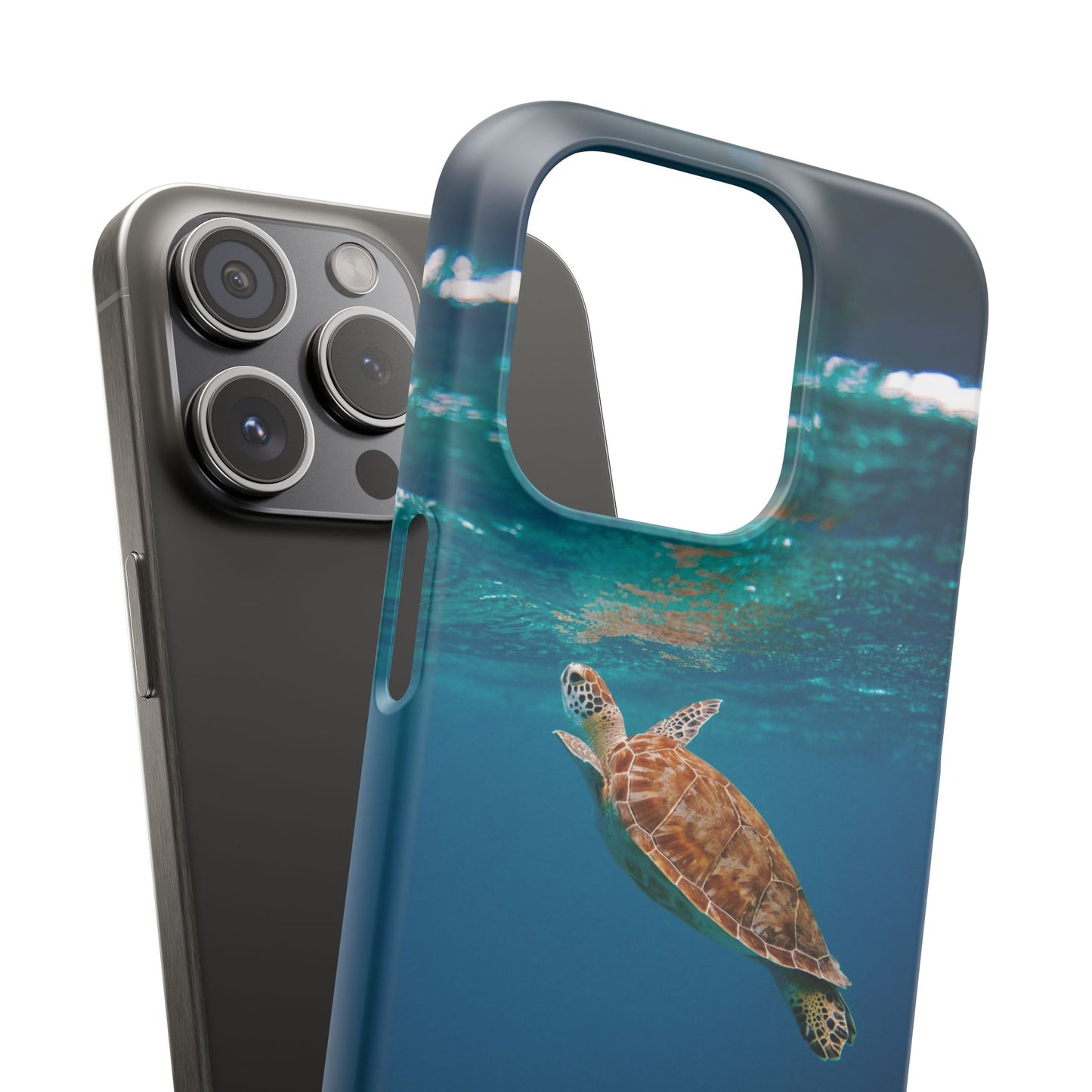 Sea Turtle Cajasol - Perfect for Beach Lovers