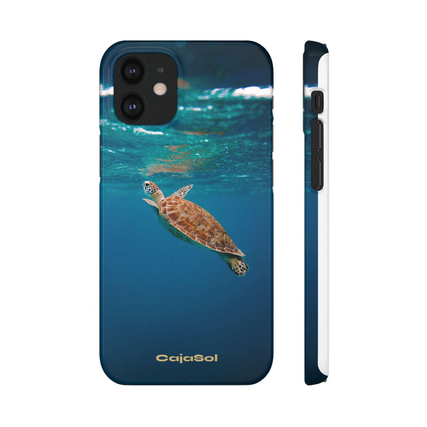 Sea Turtle Cajasol - Perfect for Beach Lovers