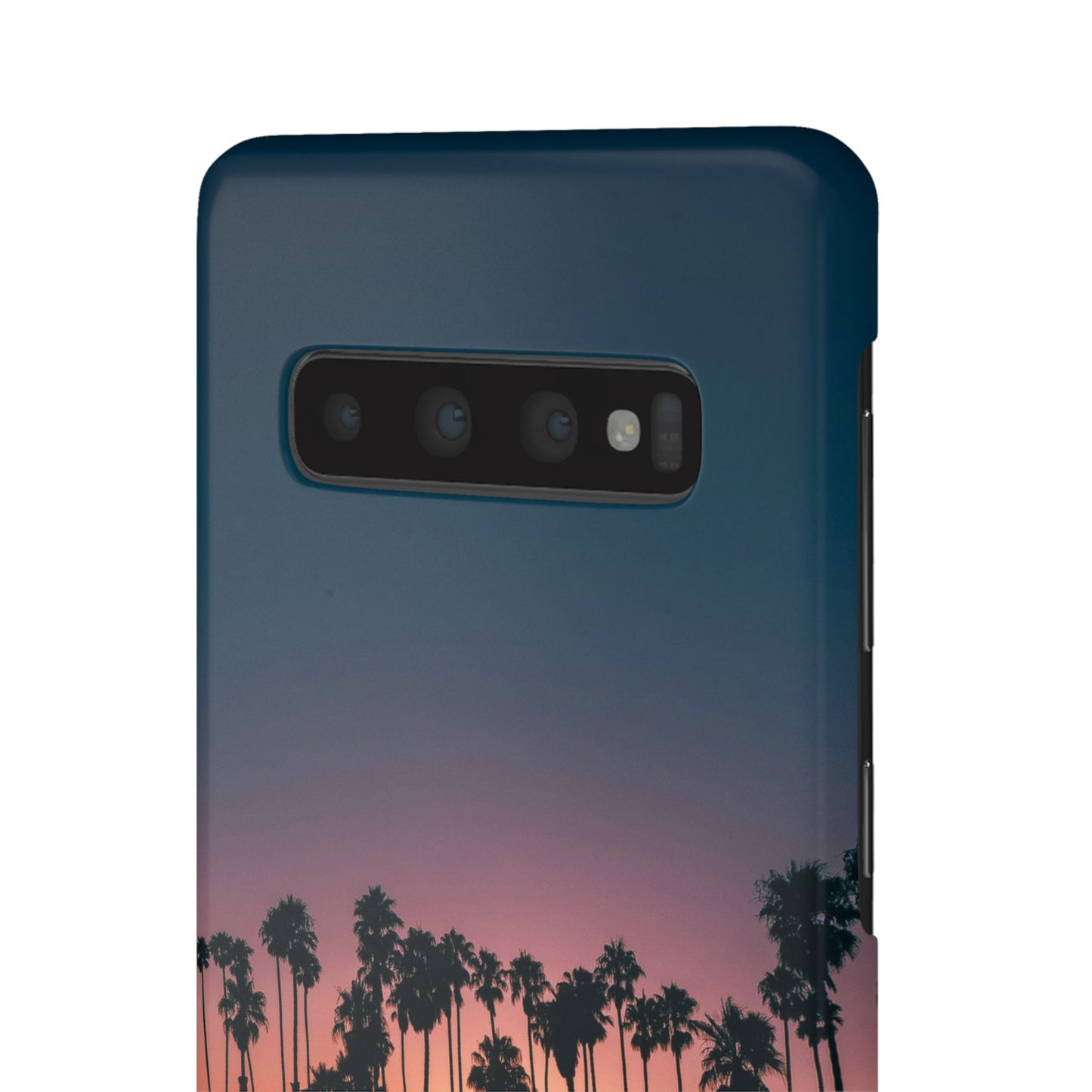 Tropical Sunset Cajasol - Vibrant Palm Tree