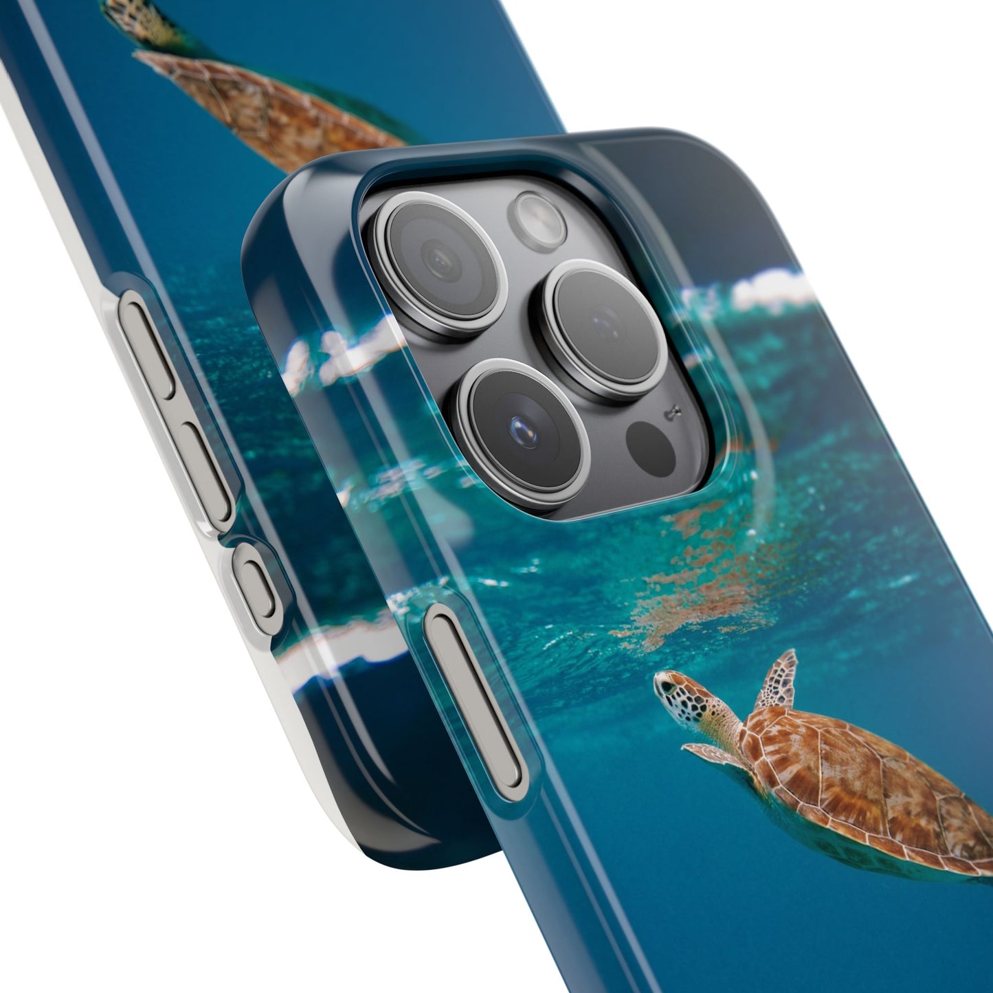 Sea Turtle Cajasol - Perfect for Beach Lovers