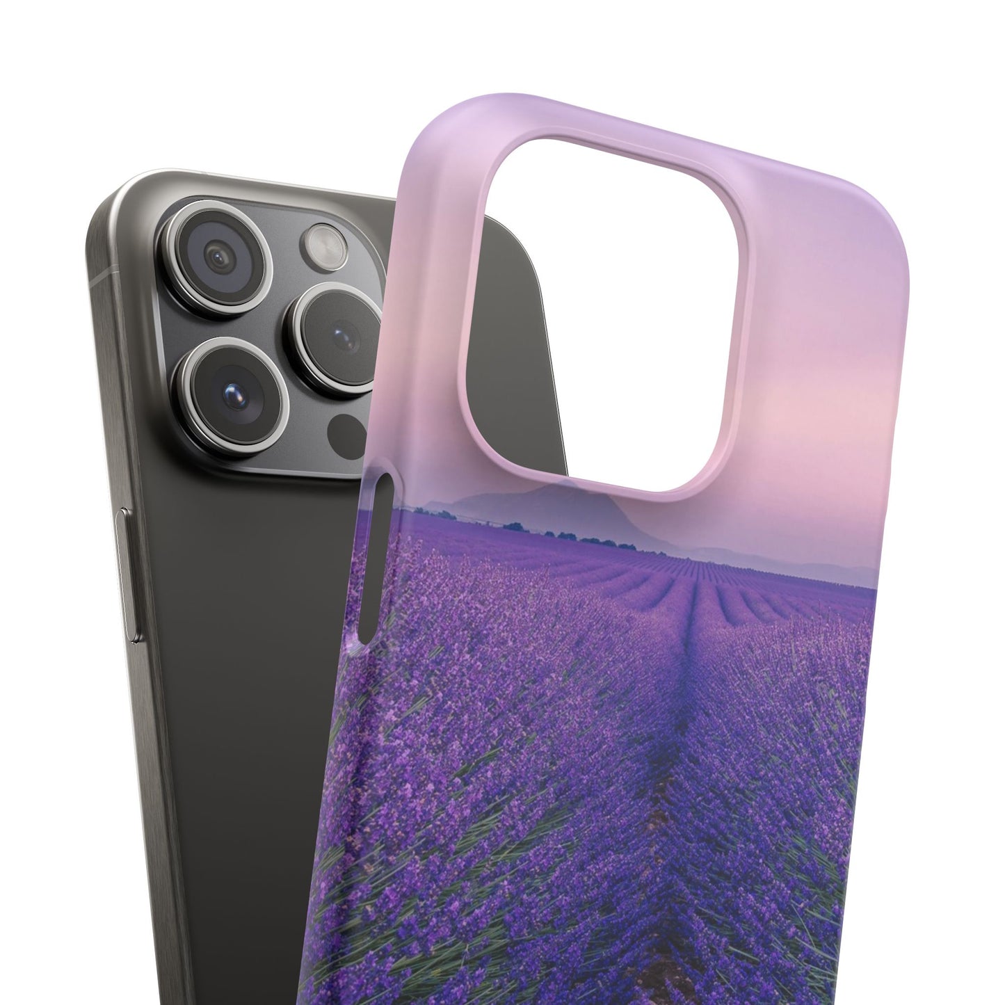 Lavender Fields Cajasol - A Floral Touch for Nature Lovers