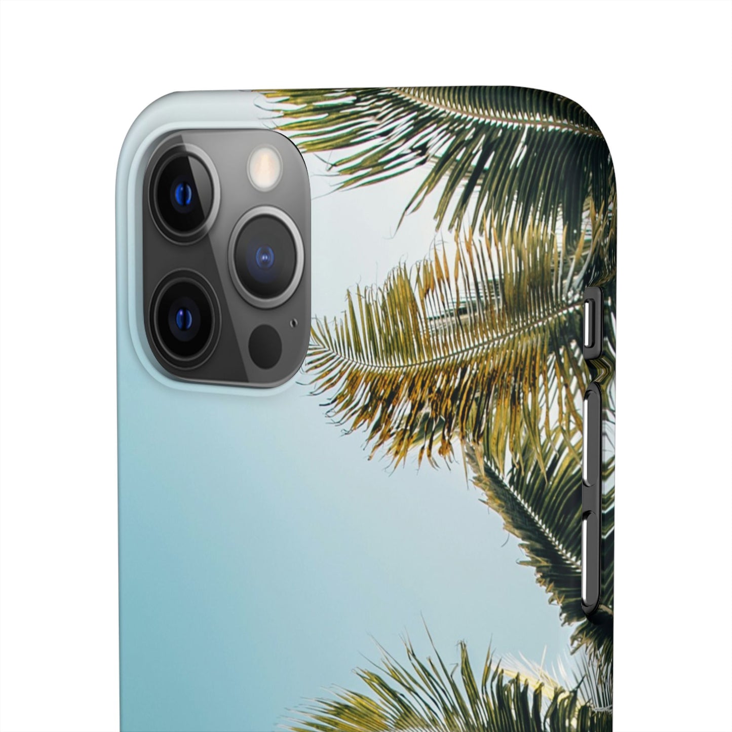 Tropical Palm Cajasol – Summer Vibes for Beach Lovers