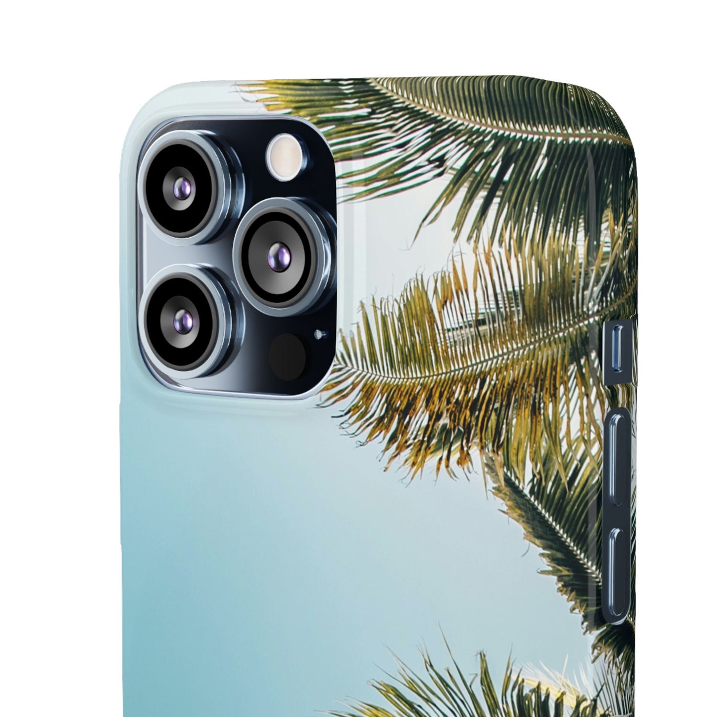 Tropical Palm Cajasol – Summer Vibes for Beach Lovers