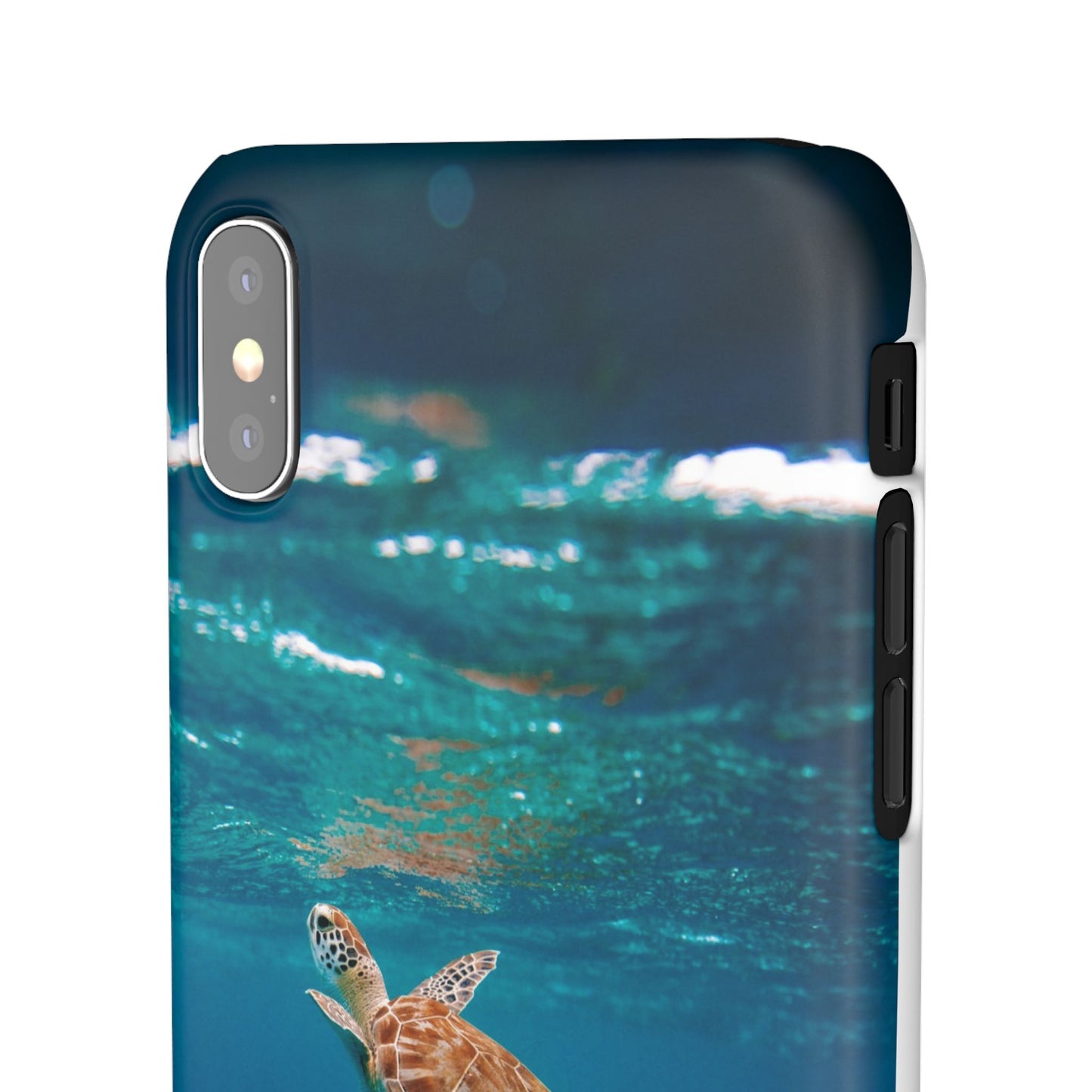 Sea Turtle Cajasol - Perfect for Beach Lovers