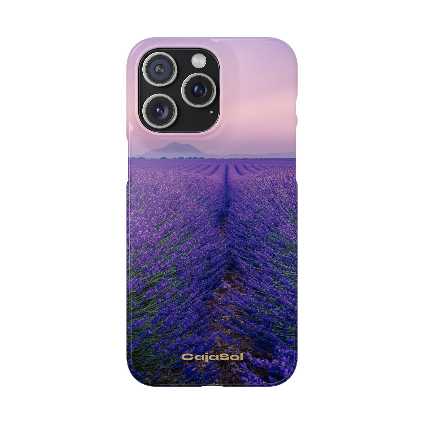 Lavender Fields Cajasol - A Floral Touch for Nature Lovers