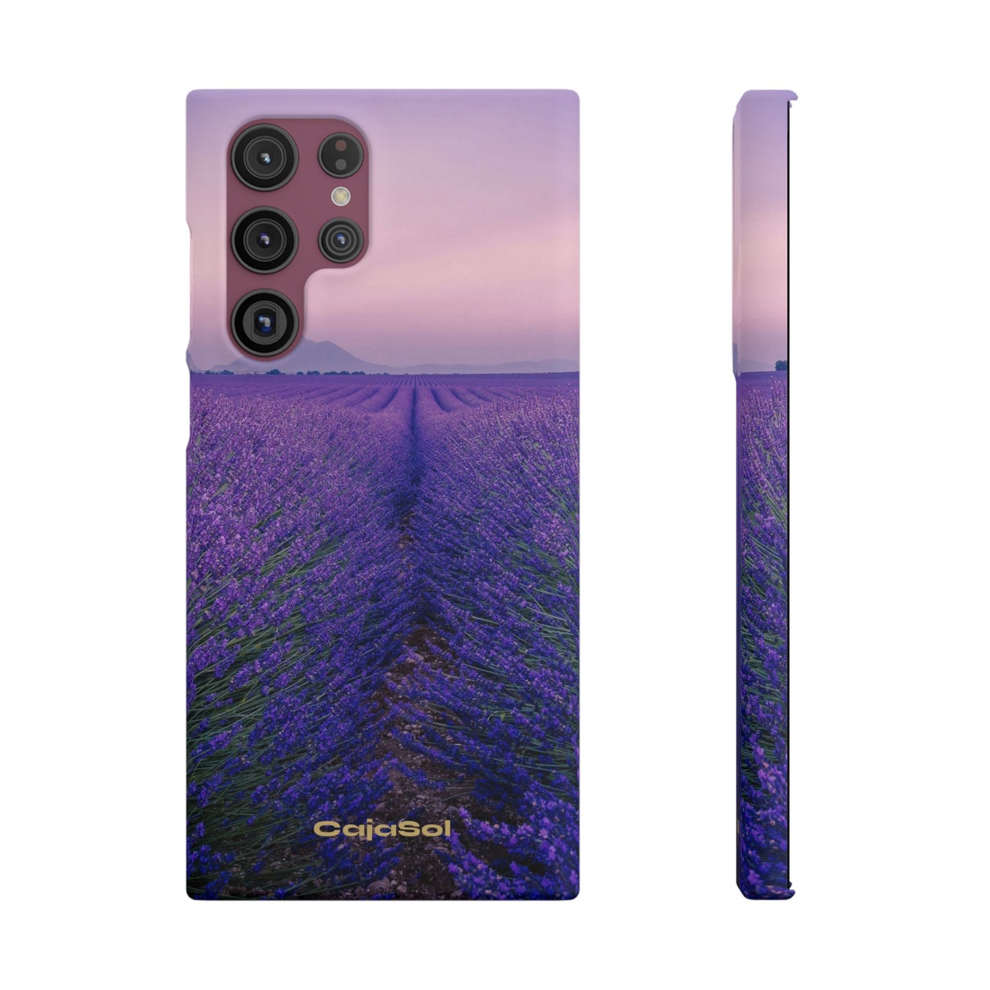 Lavender Fields Cajasol - A Floral Touch for Nature Lovers