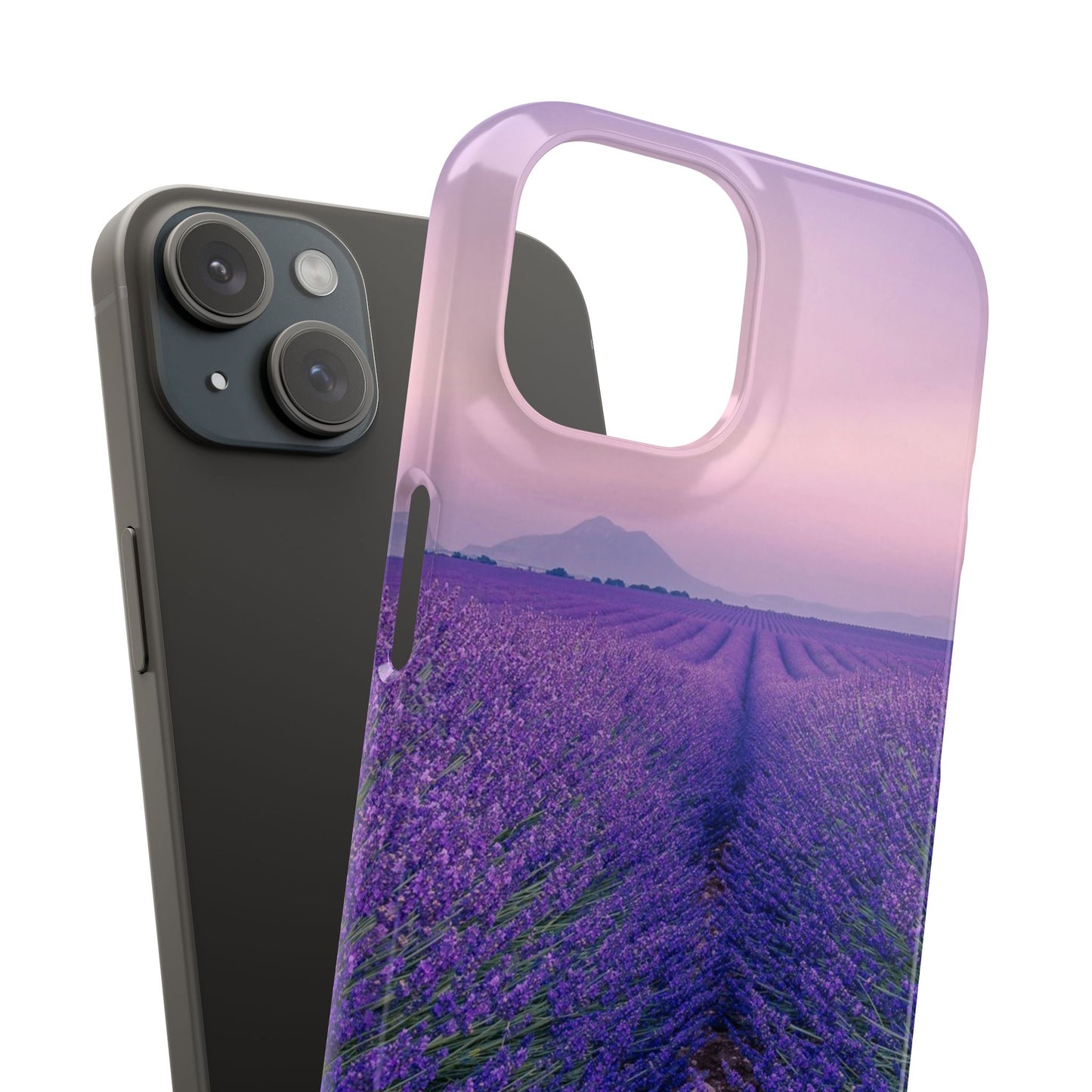 Lavender Fields Cajasol - A Floral Touch for Nature Lovers