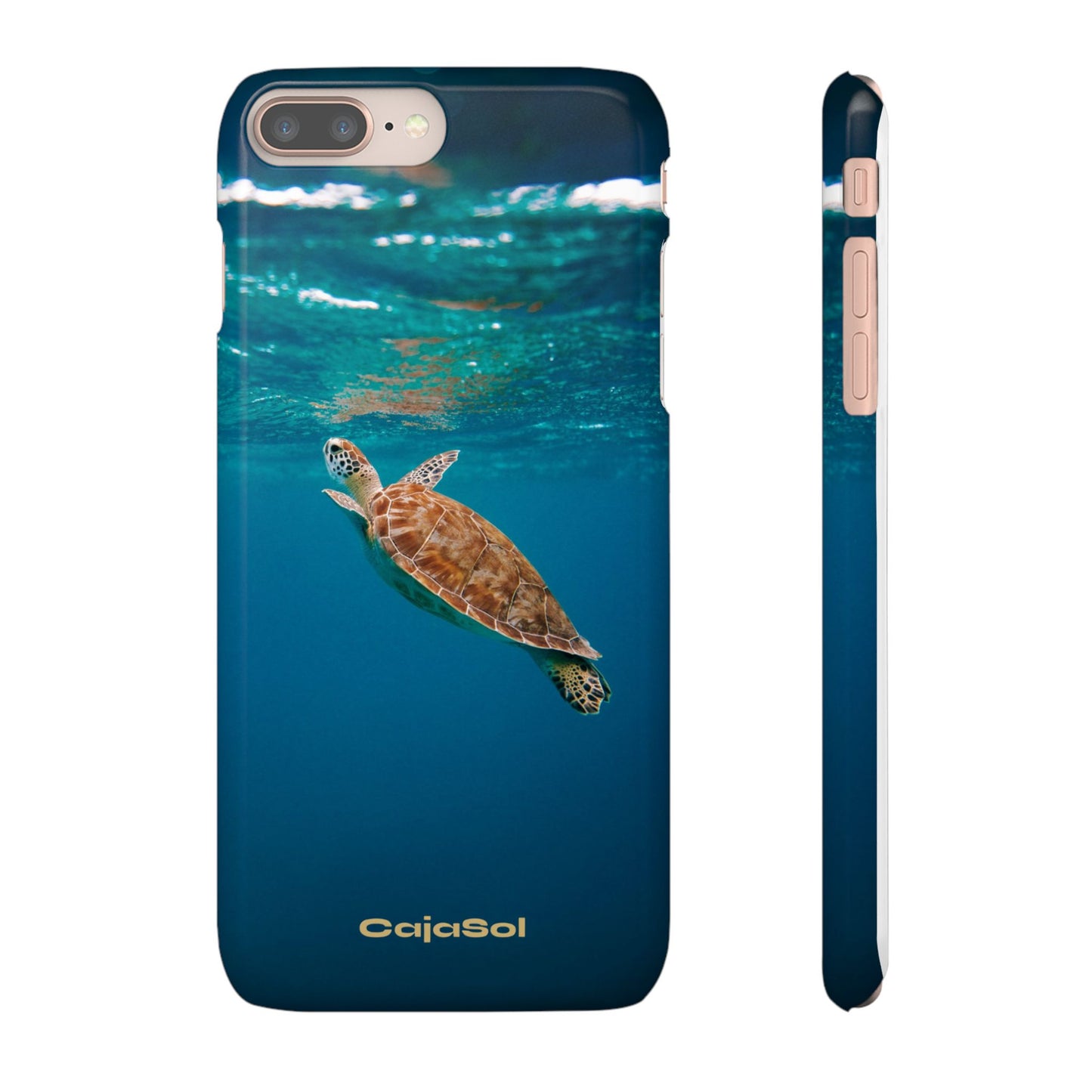 Sea Turtle Cajasol - Perfect for Beach Lovers