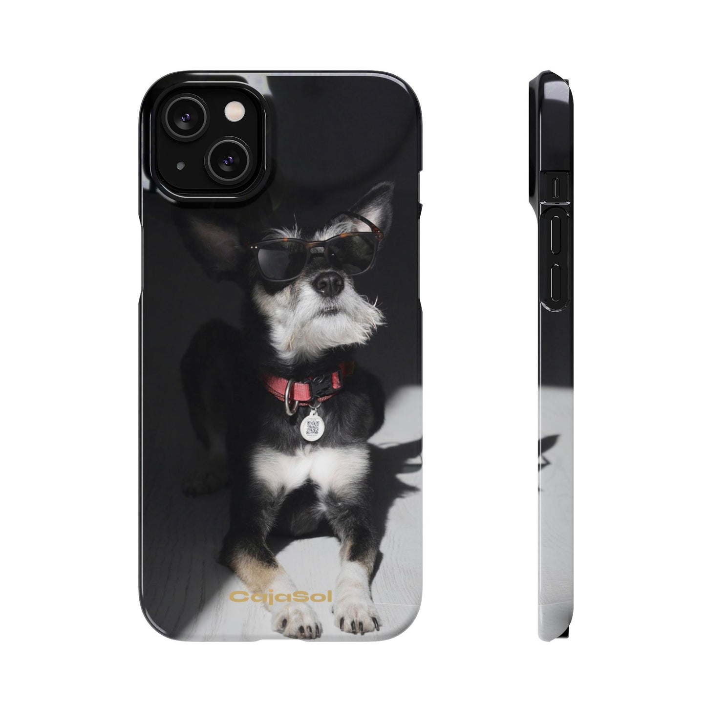 Cool Dog Cajasol - Stylish Pet