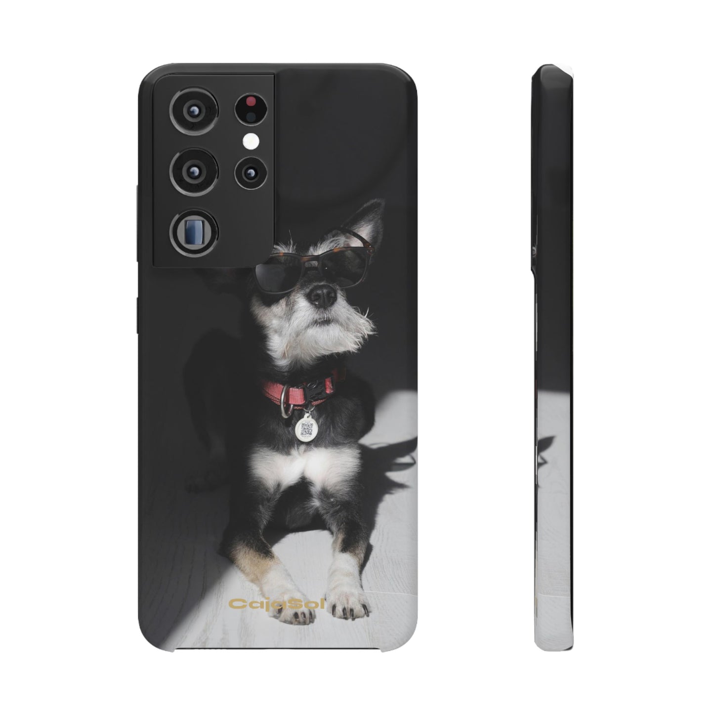 Cool Dog Cajasol - Stylish Pet