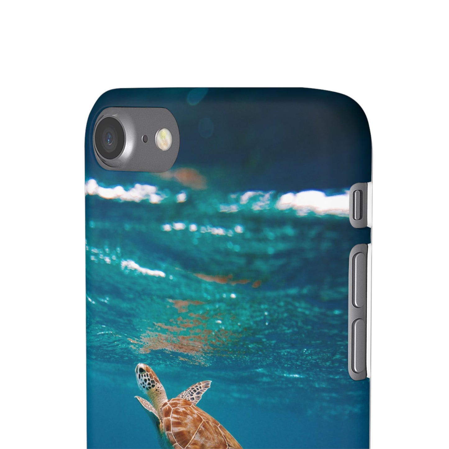 Sea Turtle Cajasol - Perfect for Beach Lovers