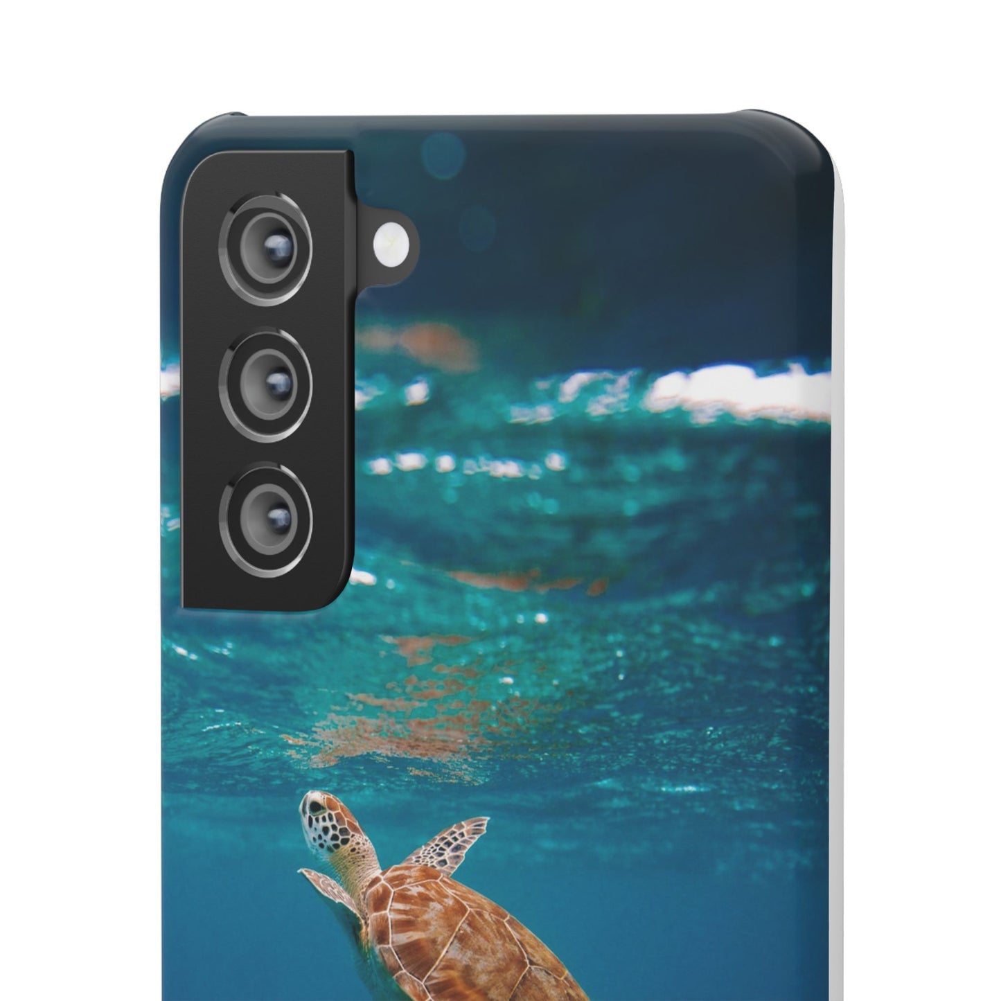 Sea Turtle Cajasol - Perfect for Beach Lovers