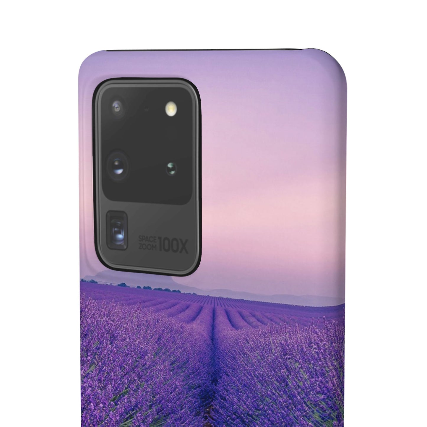 Lavender Fields Cajasol - A Floral Touch for Nature Lovers