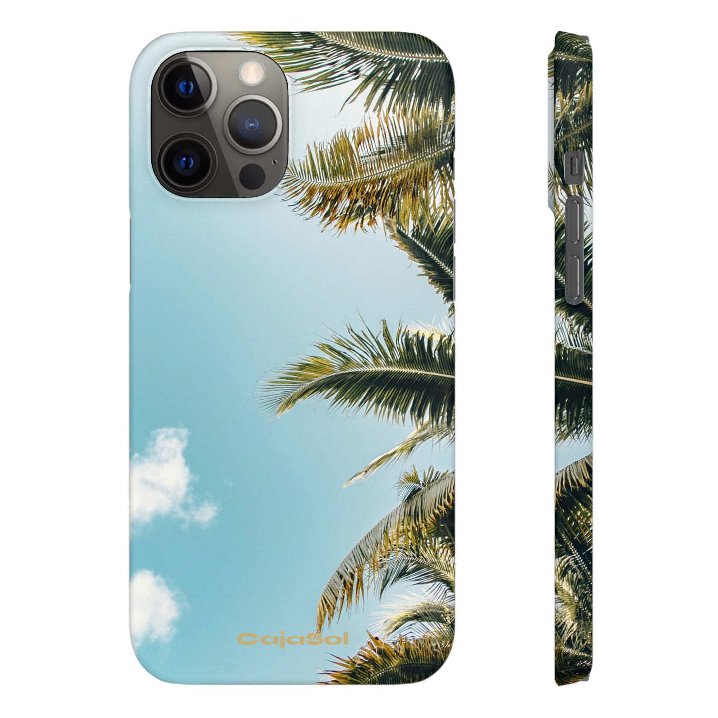 Tropical Palm Cajasol – Summer Vibes for Beach Lovers
