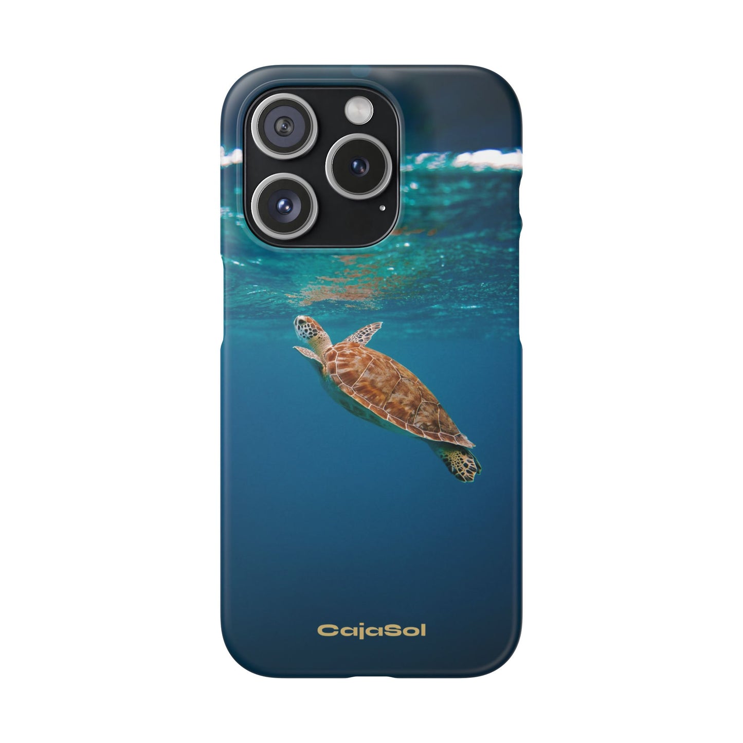 Sea Turtle Cajasol - Perfect for Beach Lovers