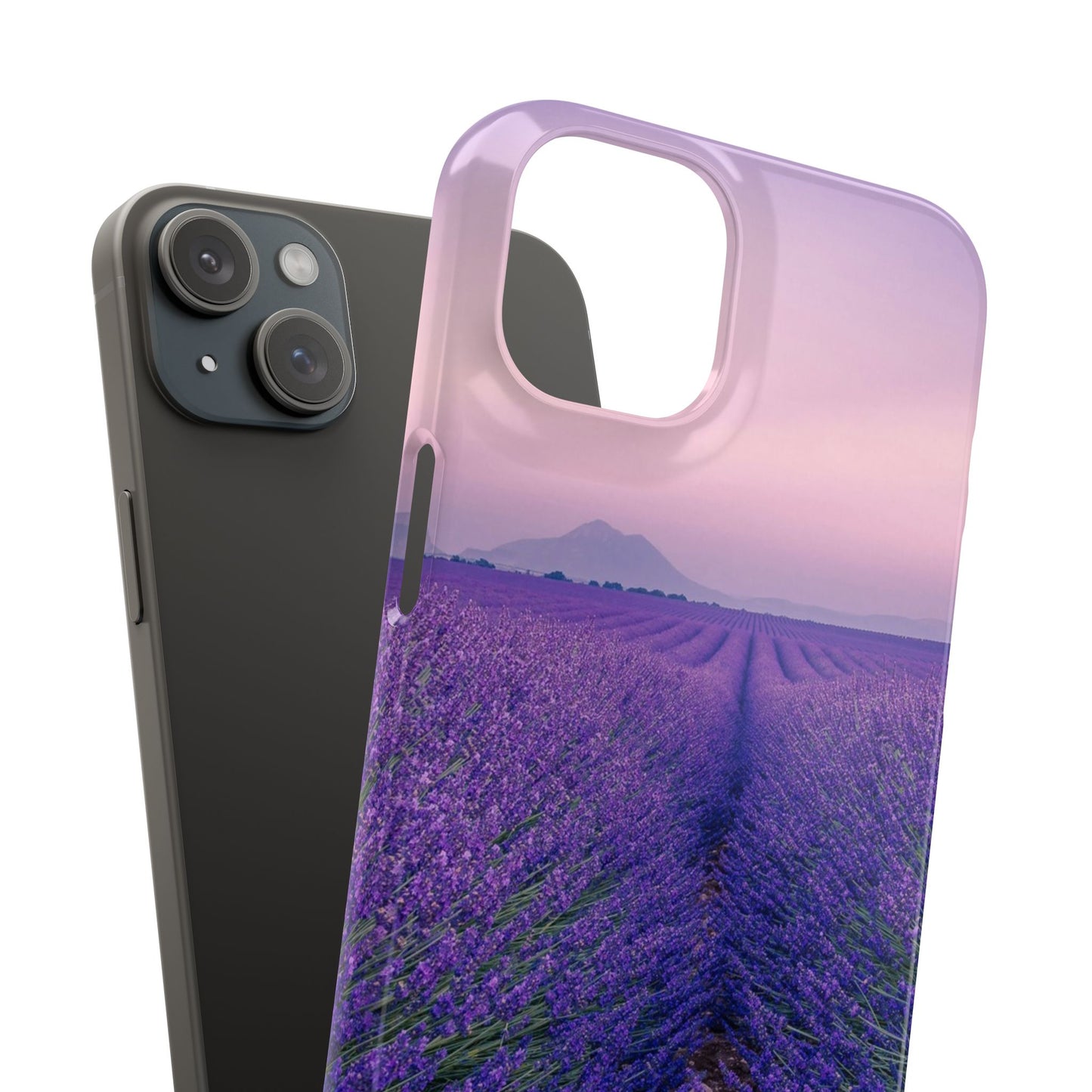Lavender Fields Cajasol - A Floral Touch for Nature Lovers