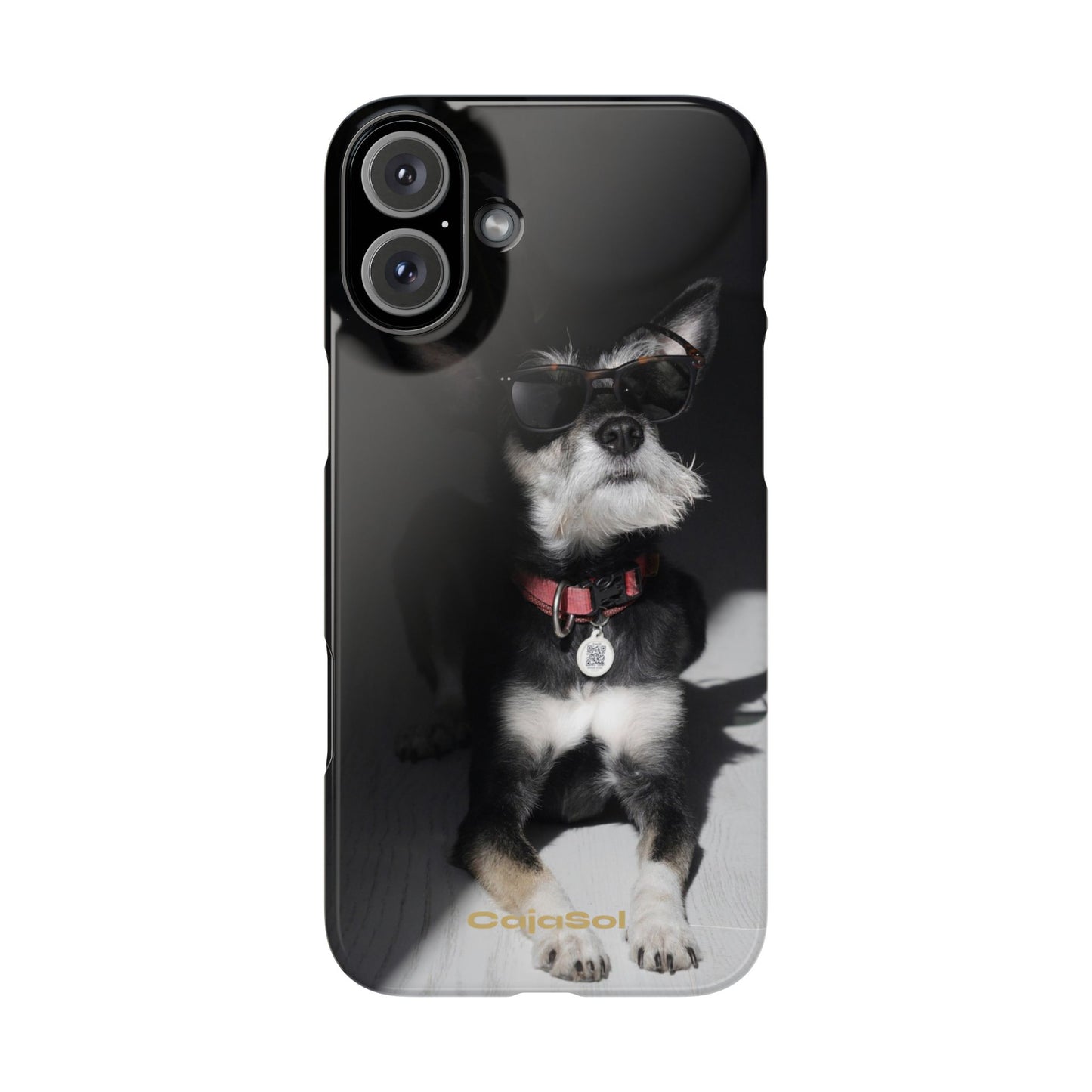 Cool Dog Cajasol - Stylish Pet
