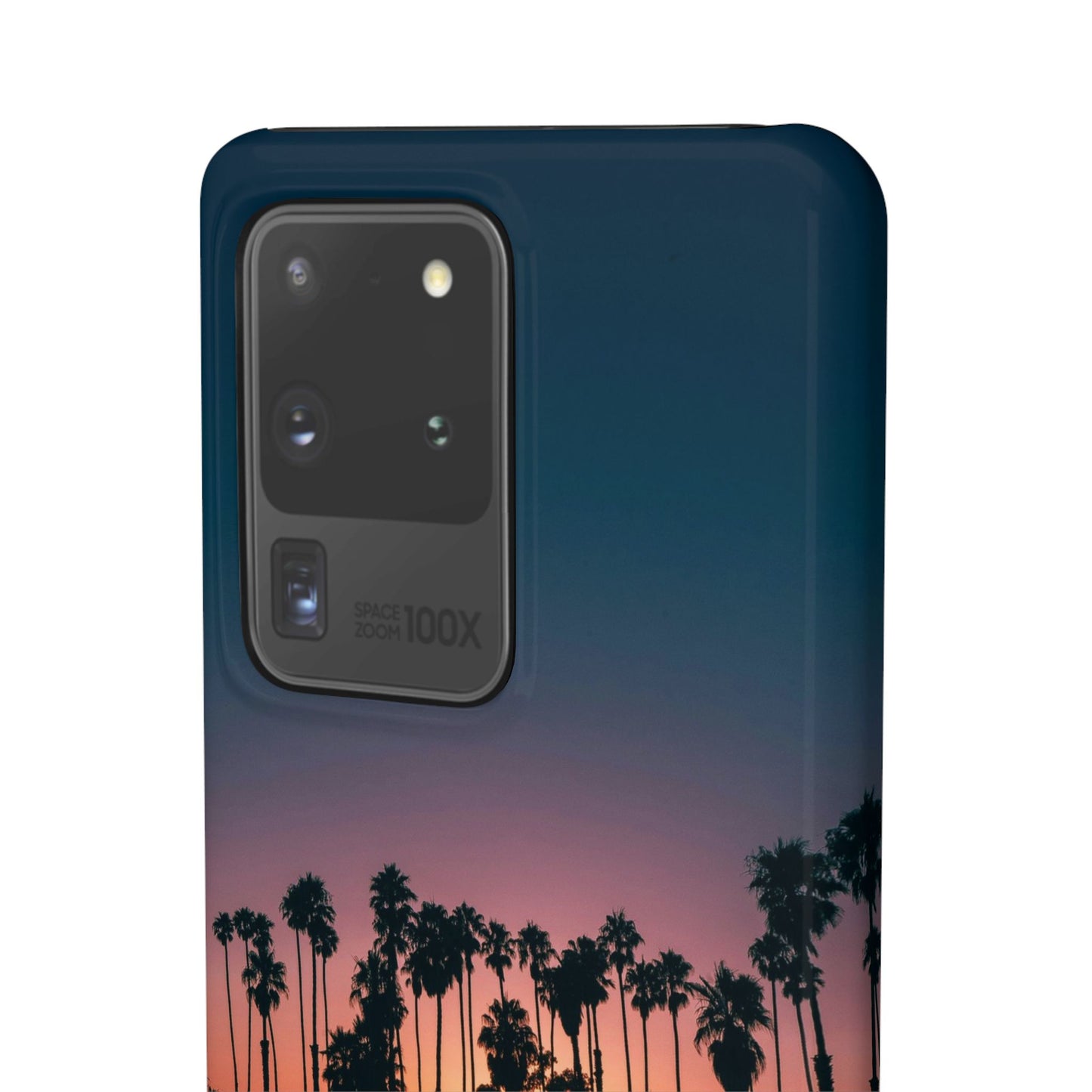 Tropical Sunset Cajasol - Vibrant Palm Tree