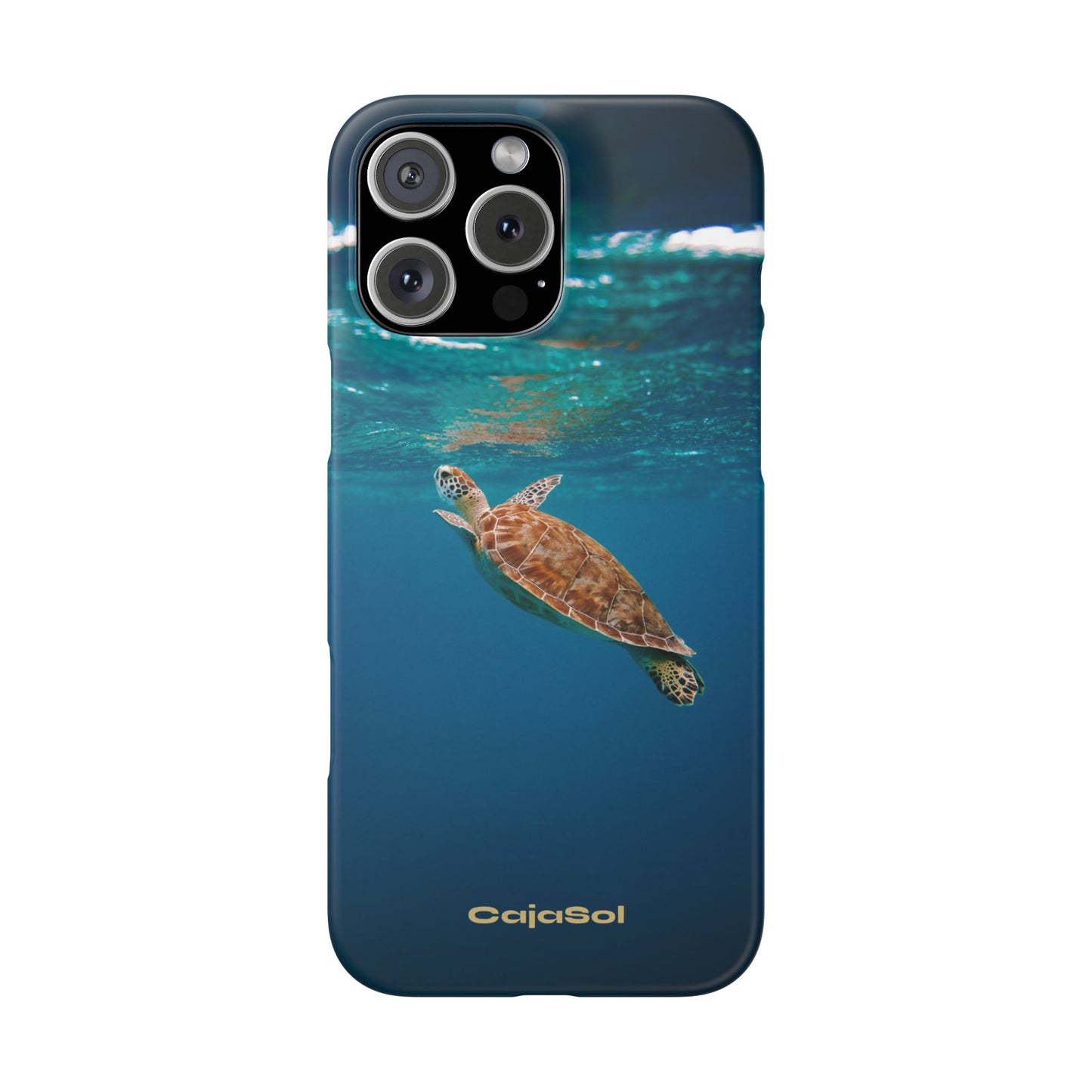 Sea Turtle Cajasol - Perfect for Beach Lovers