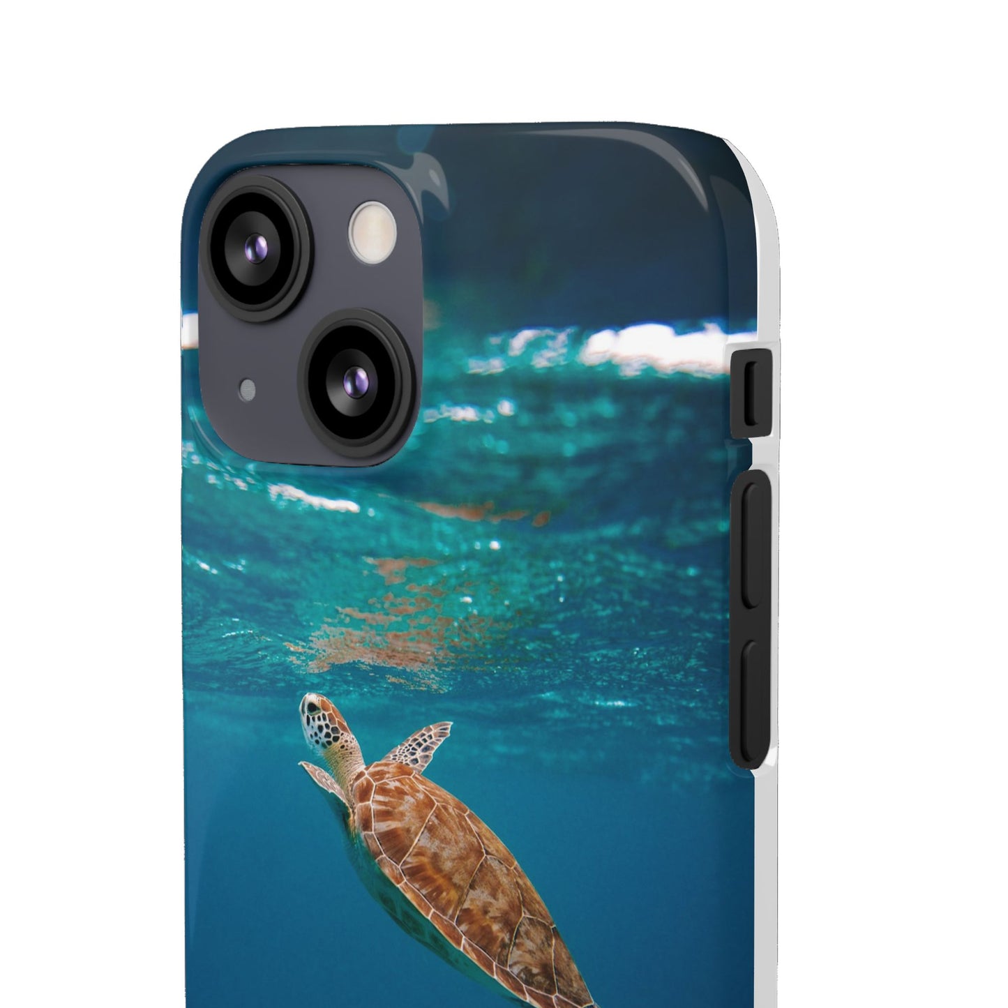 Sea Turtle Cajasol - Perfect for Beach Lovers