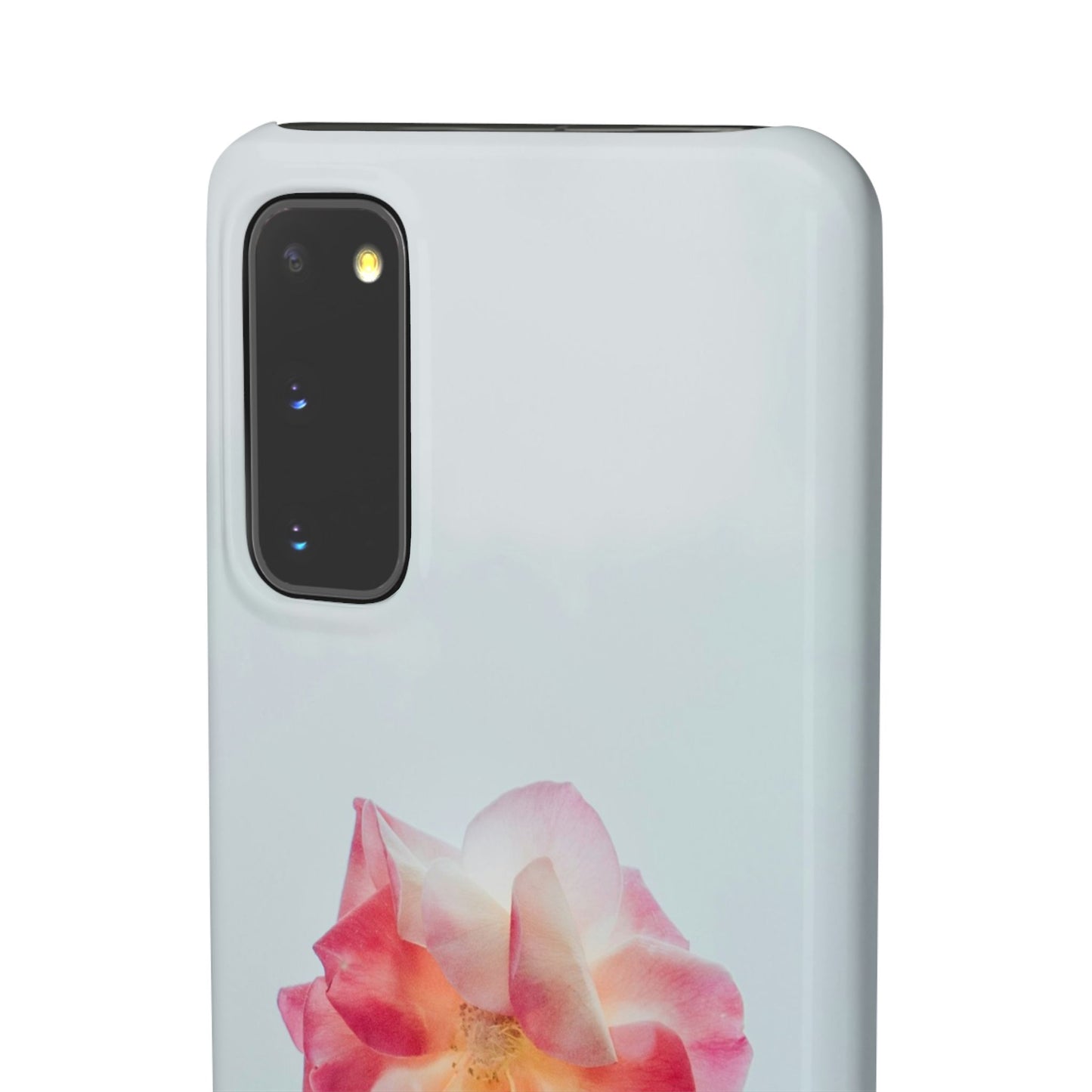 Floral Cajasol - Elegant Pink Flower