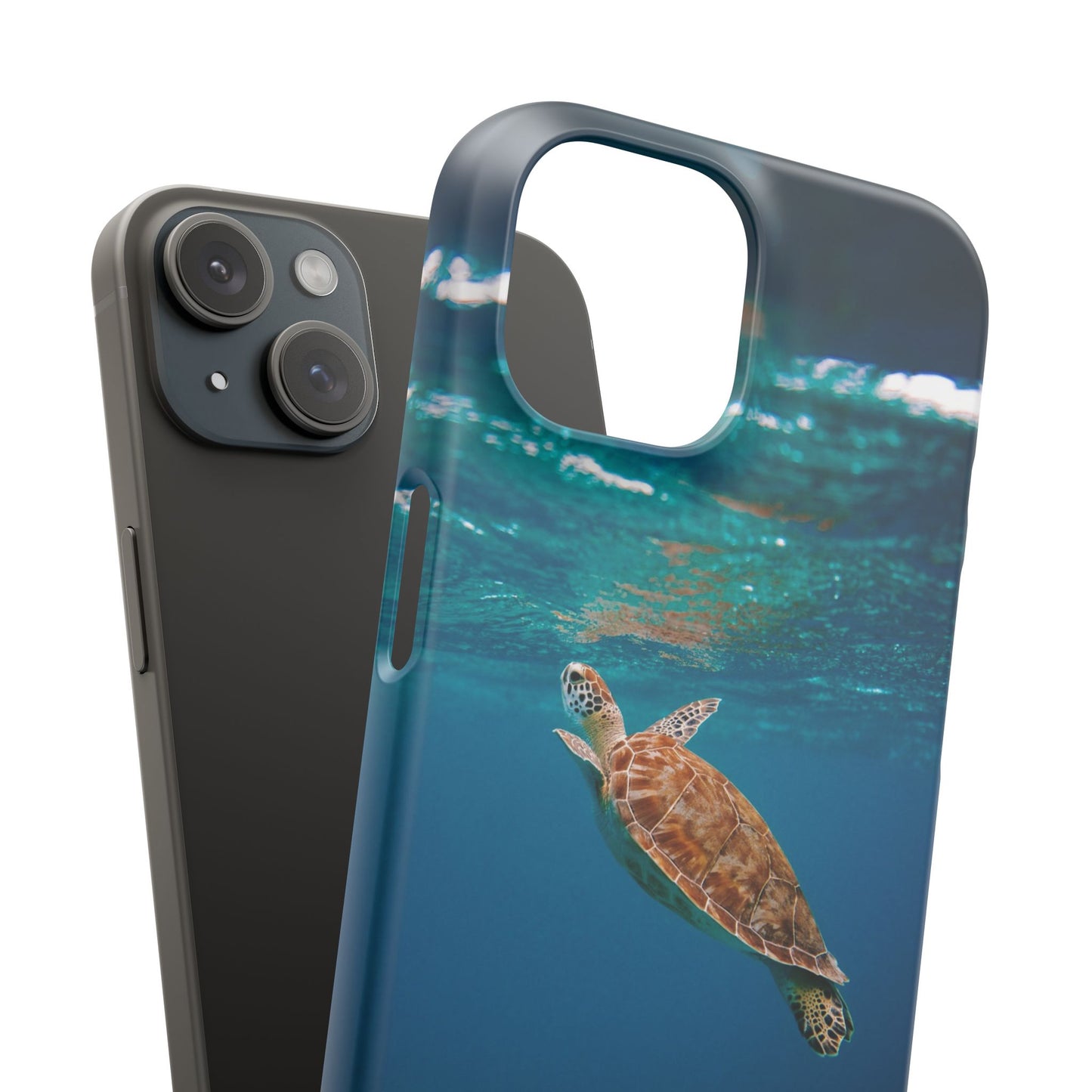 Sea Turtle Cajasol - Perfect for Beach Lovers