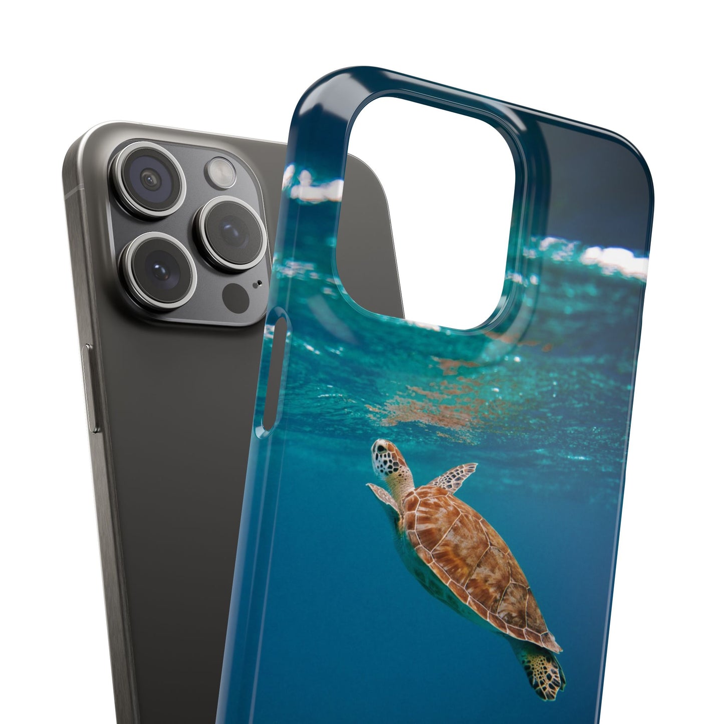 Sea Turtle Cajasol - Perfect for Beach Lovers