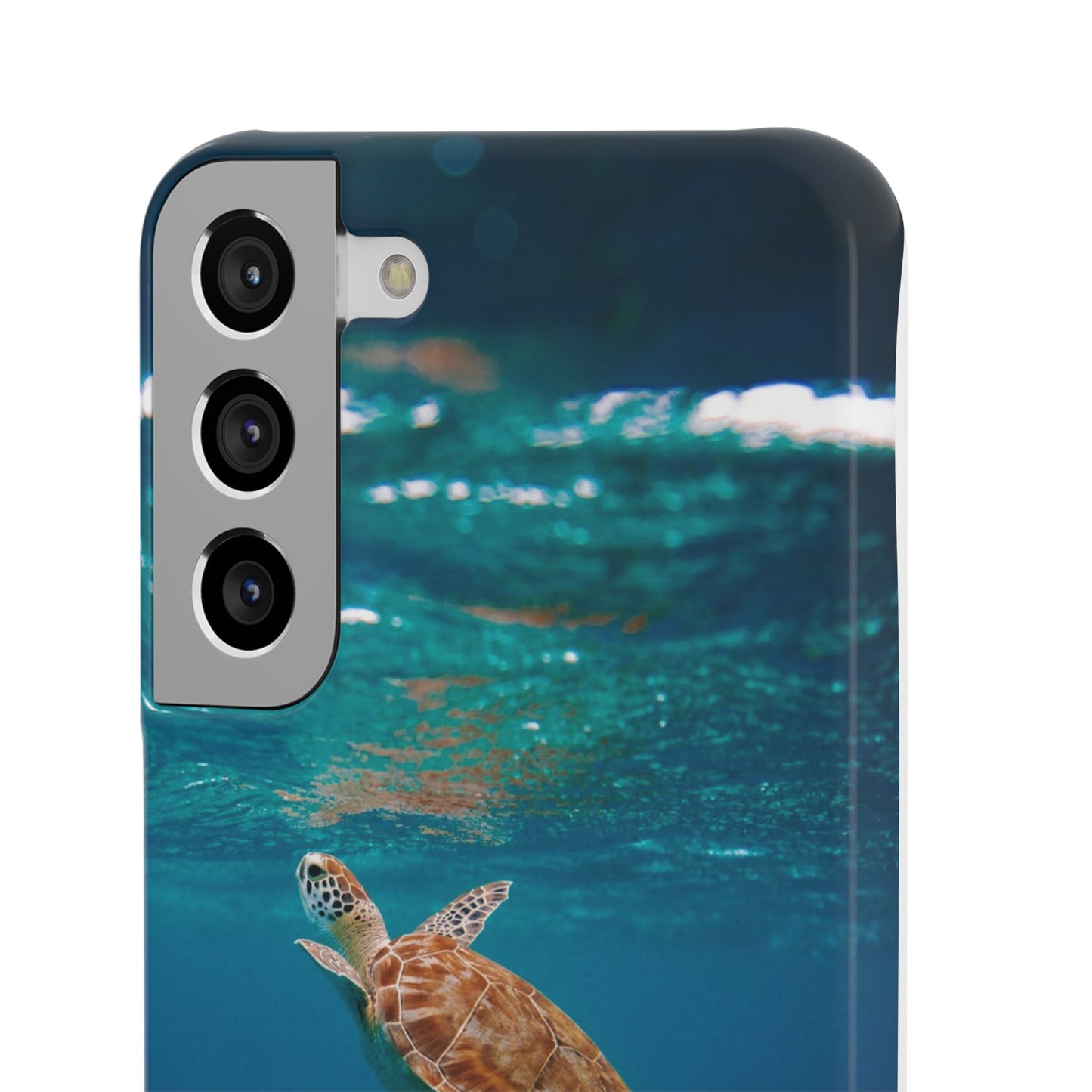Sea Turtle Cajasol - Perfect for Beach Lovers