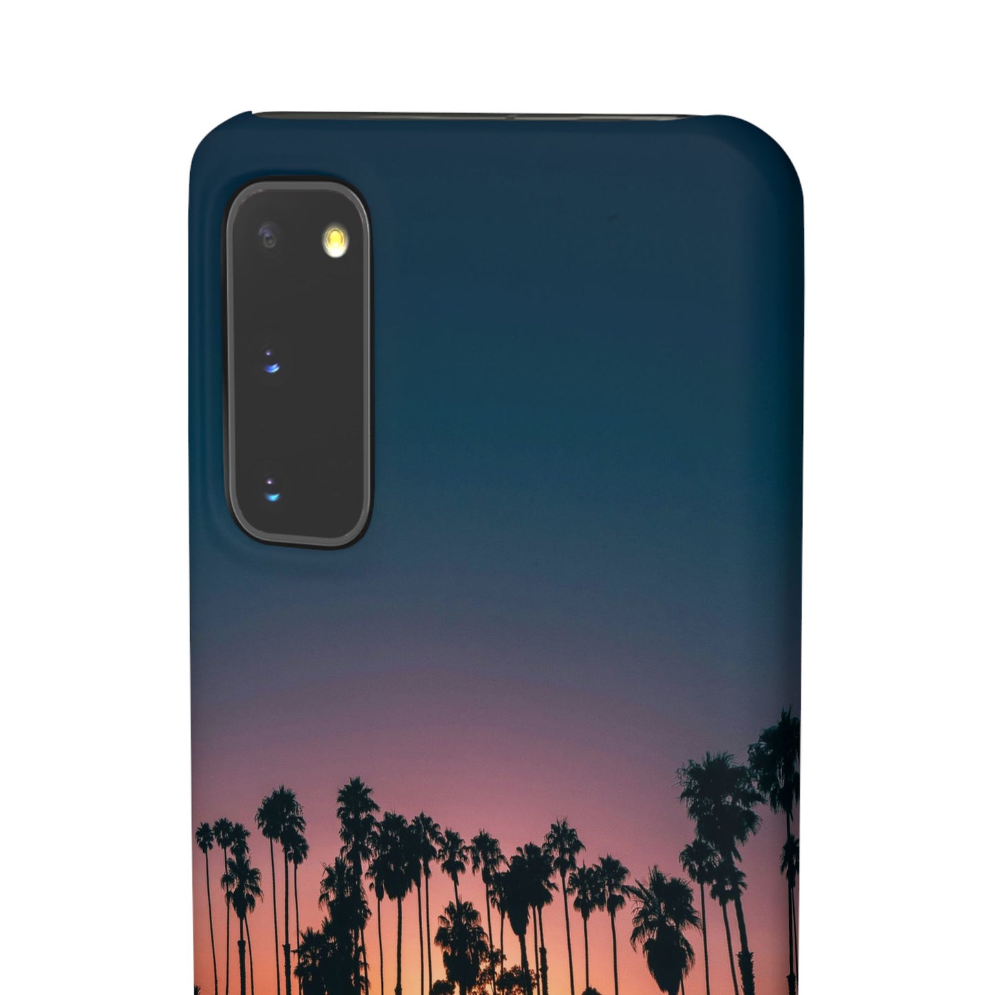 Tropical Sunset Cajasol - Vibrant Palm Tree