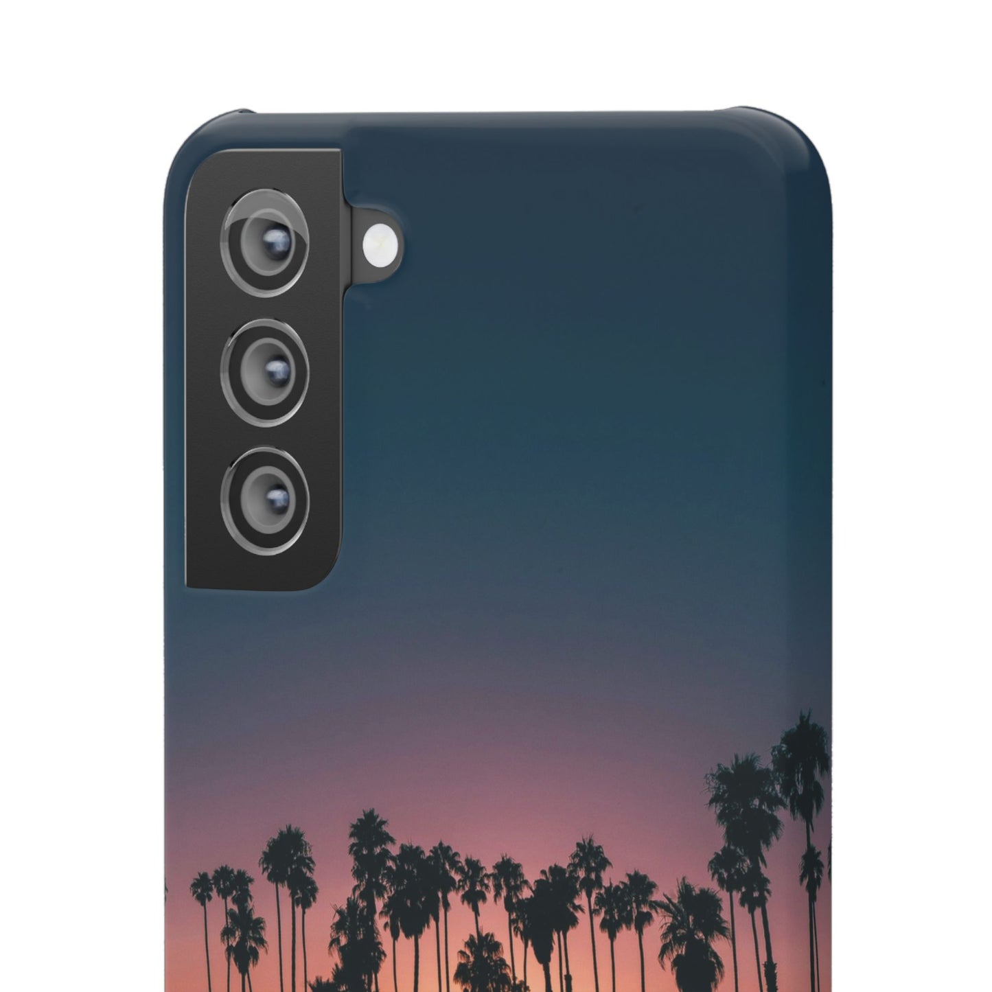 Tropical Sunset Cajasol - Vibrant Palm Tree