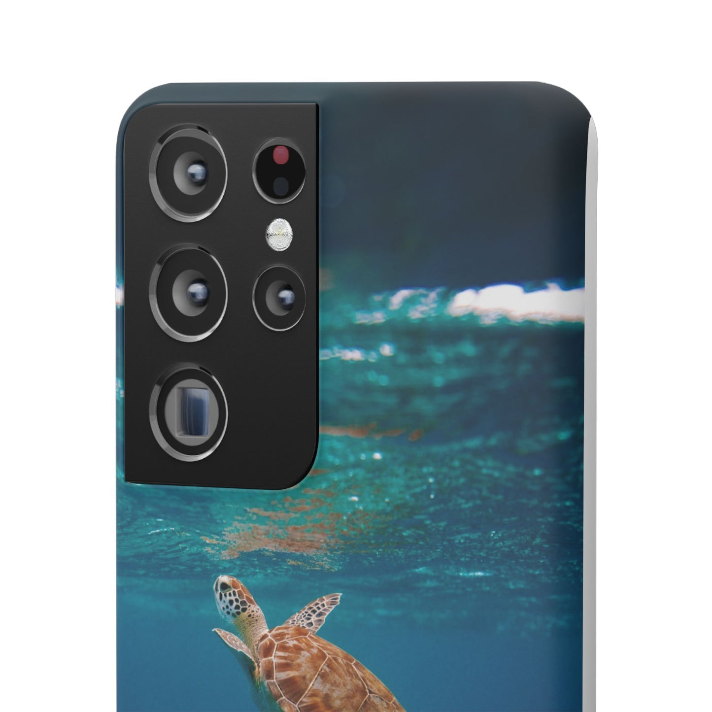 Sea Turtle Cajasol - Perfect for Beach Lovers