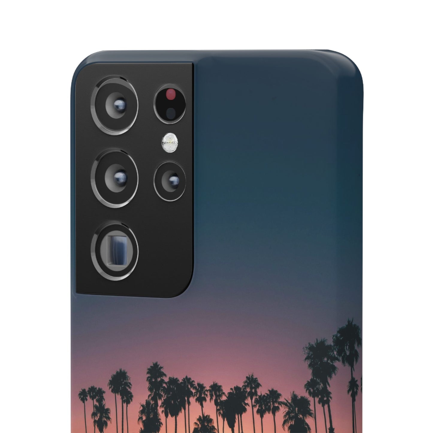 Tropical Sunset Cajasol - Vibrant Palm Tree