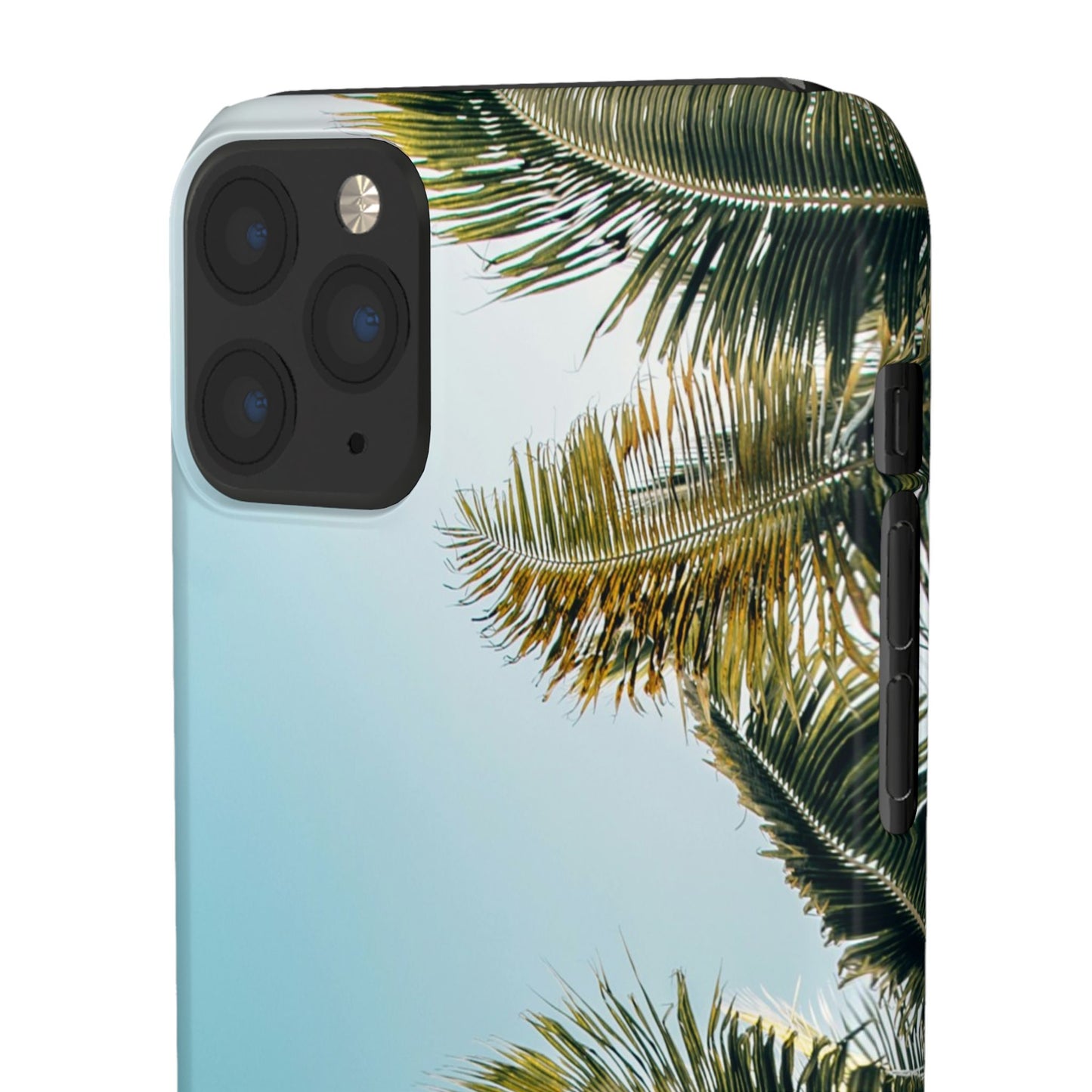 Tropical Palm Cajasol – Summer Vibes for Beach Lovers