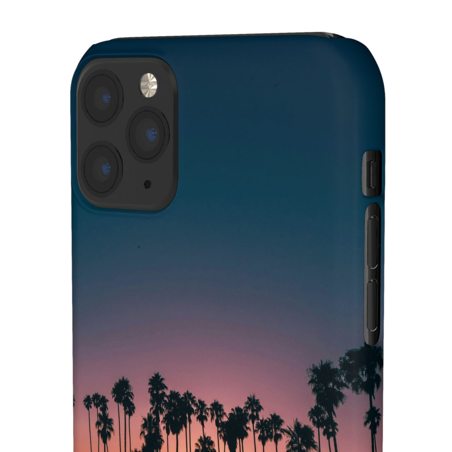 Tropical Sunset Cajasol - Vibrant Palm Tree