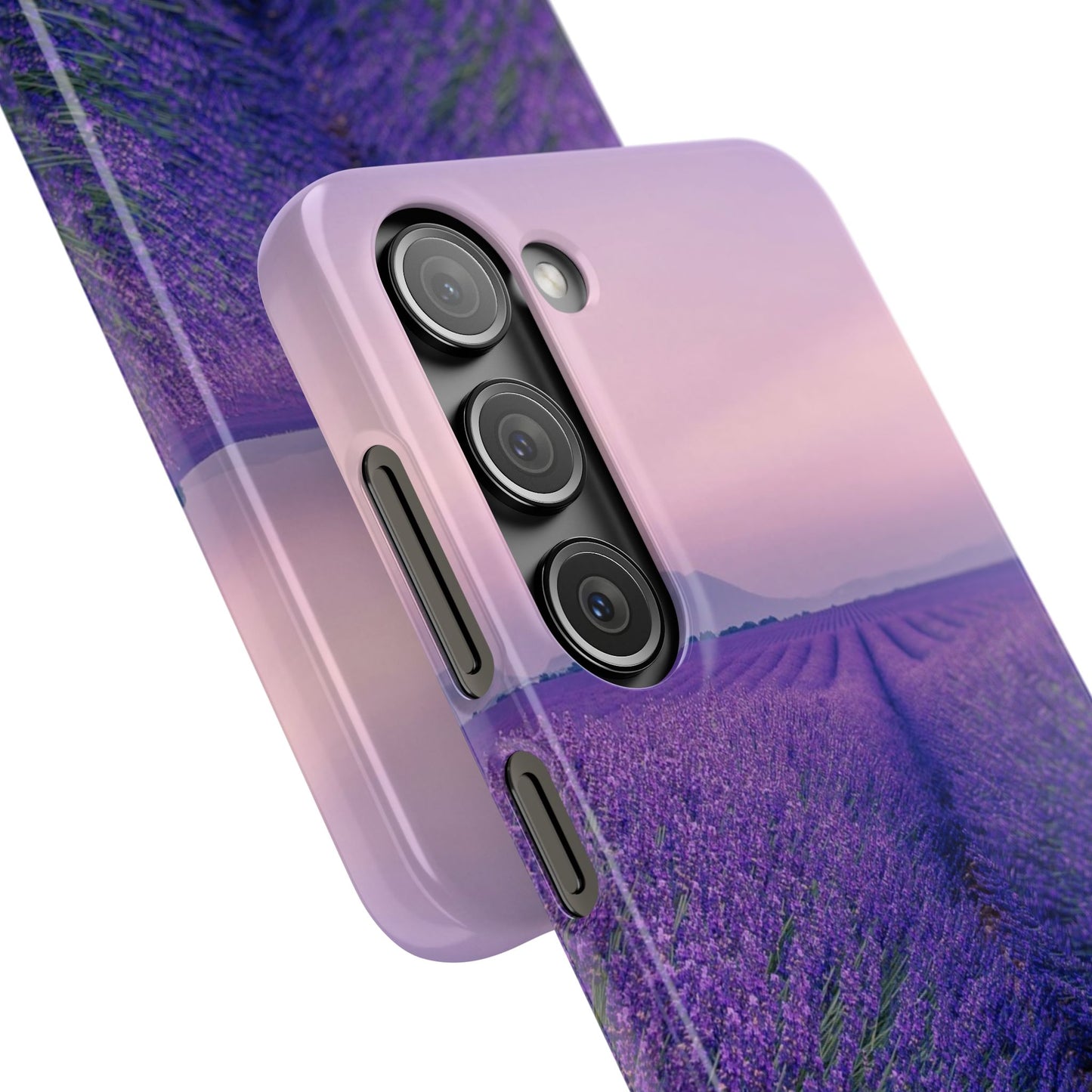 Lavender Fields Cajasol - A Floral Touch for Nature Lovers
