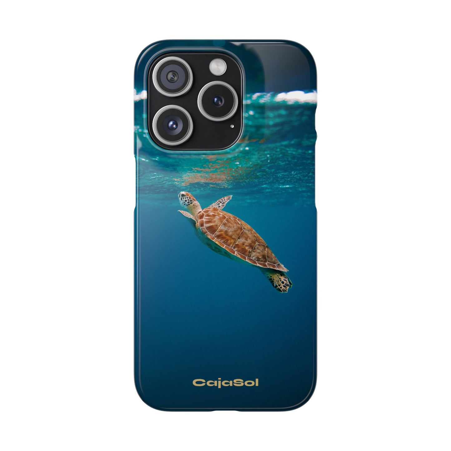 Sea Turtle Cajasol - Perfect for Beach Lovers