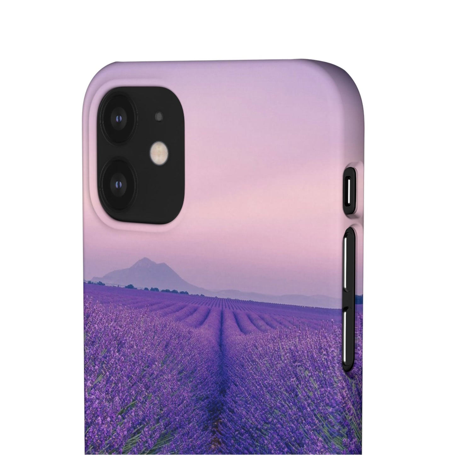 Lavender Fields Cajasol - A Floral Touch for Nature Lovers