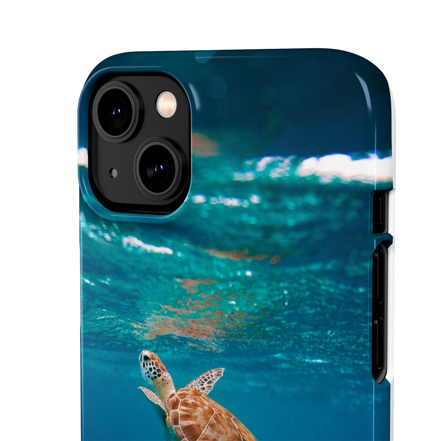 Sea Turtle Cajasol - Perfect for Beach Lovers