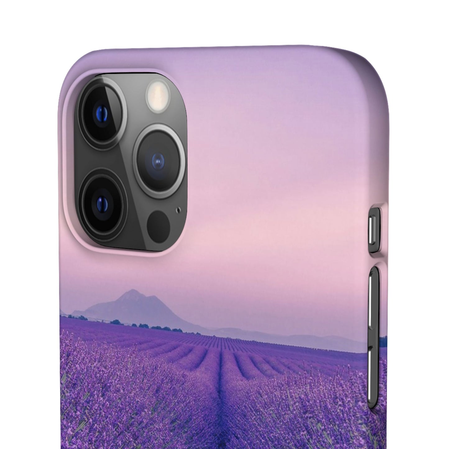 Lavender Fields Cajasol - A Floral Touch for Nature Lovers