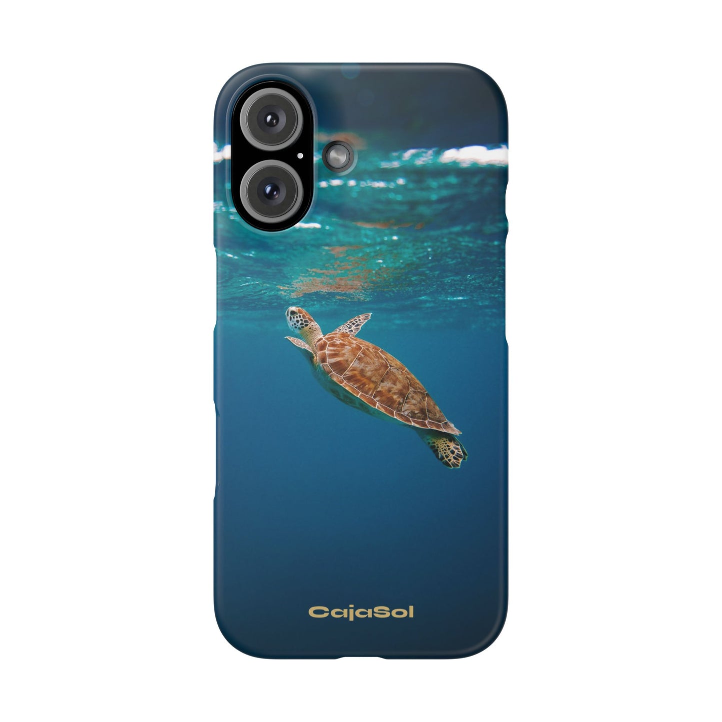 Sea Turtle Cajasol - Perfect for Beach Lovers
