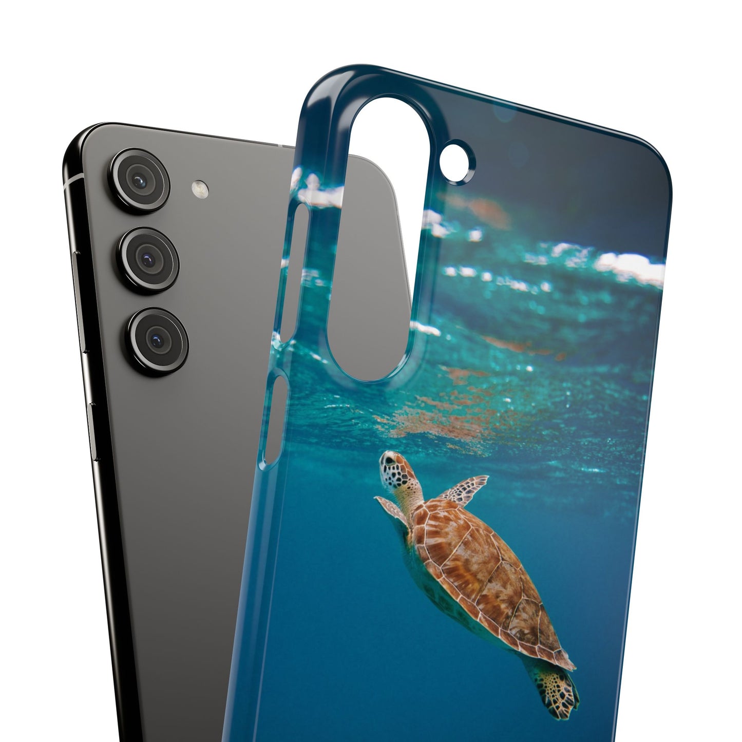 Sea Turtle Cajasol - Perfect for Beach Lovers