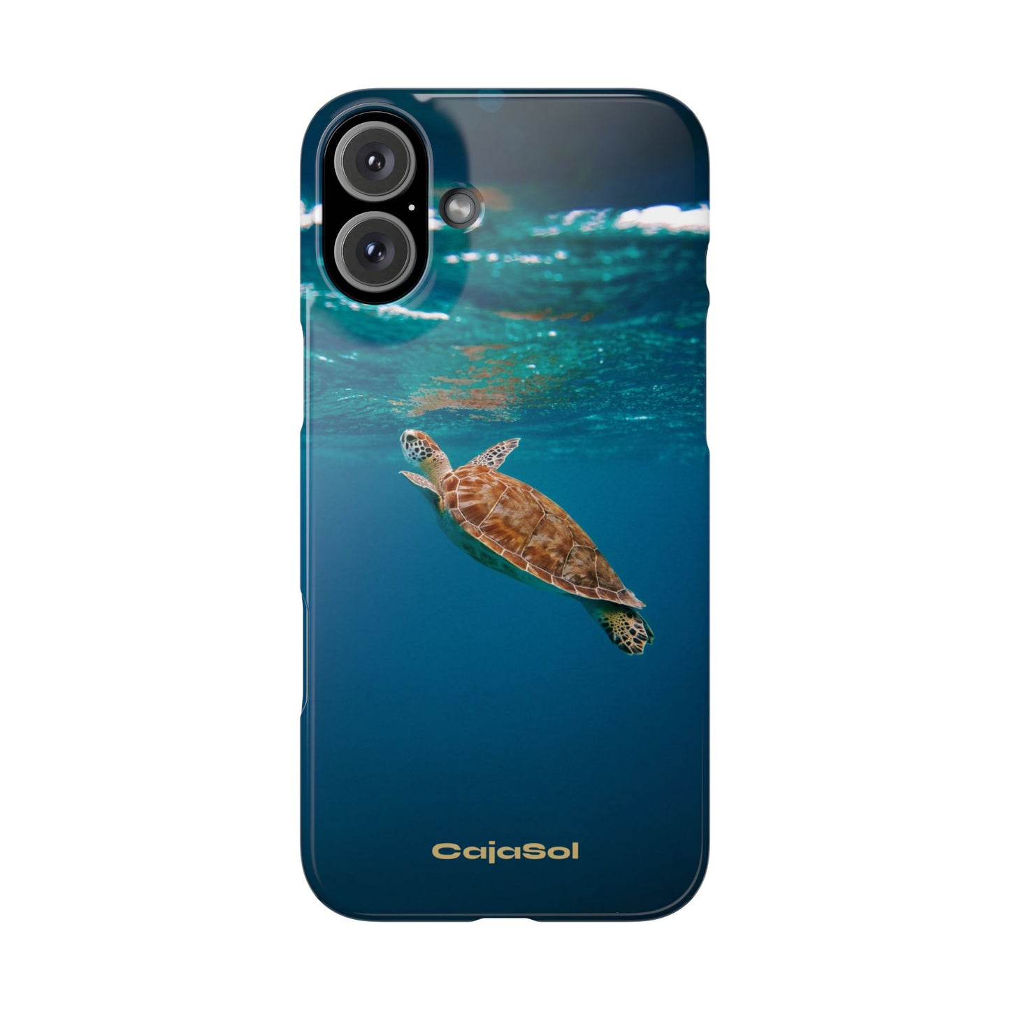 Sea Turtle Cajasol - Perfect for Beach Lovers