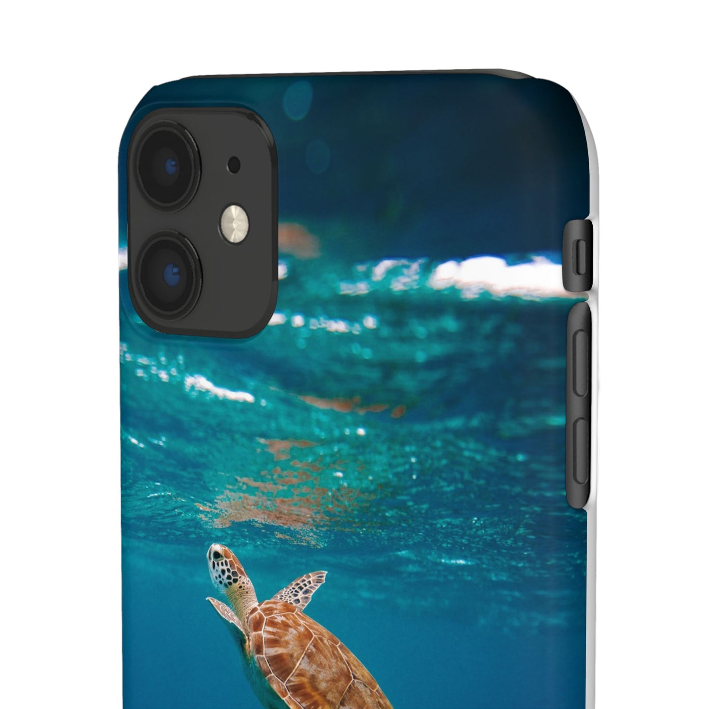 Sea Turtle Cajasol - Perfect for Beach Lovers