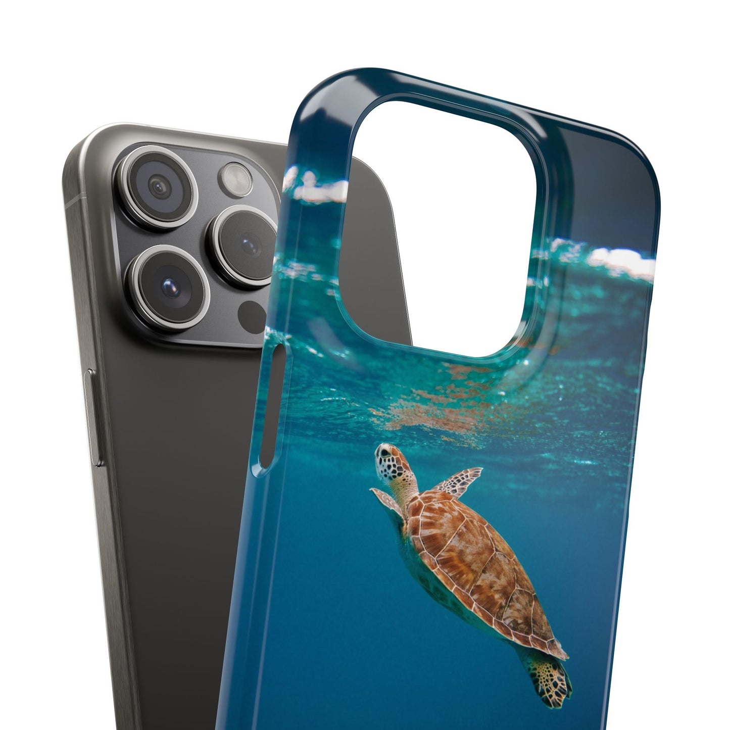 Sea Turtle Cajasol - Perfect for Beach Lovers